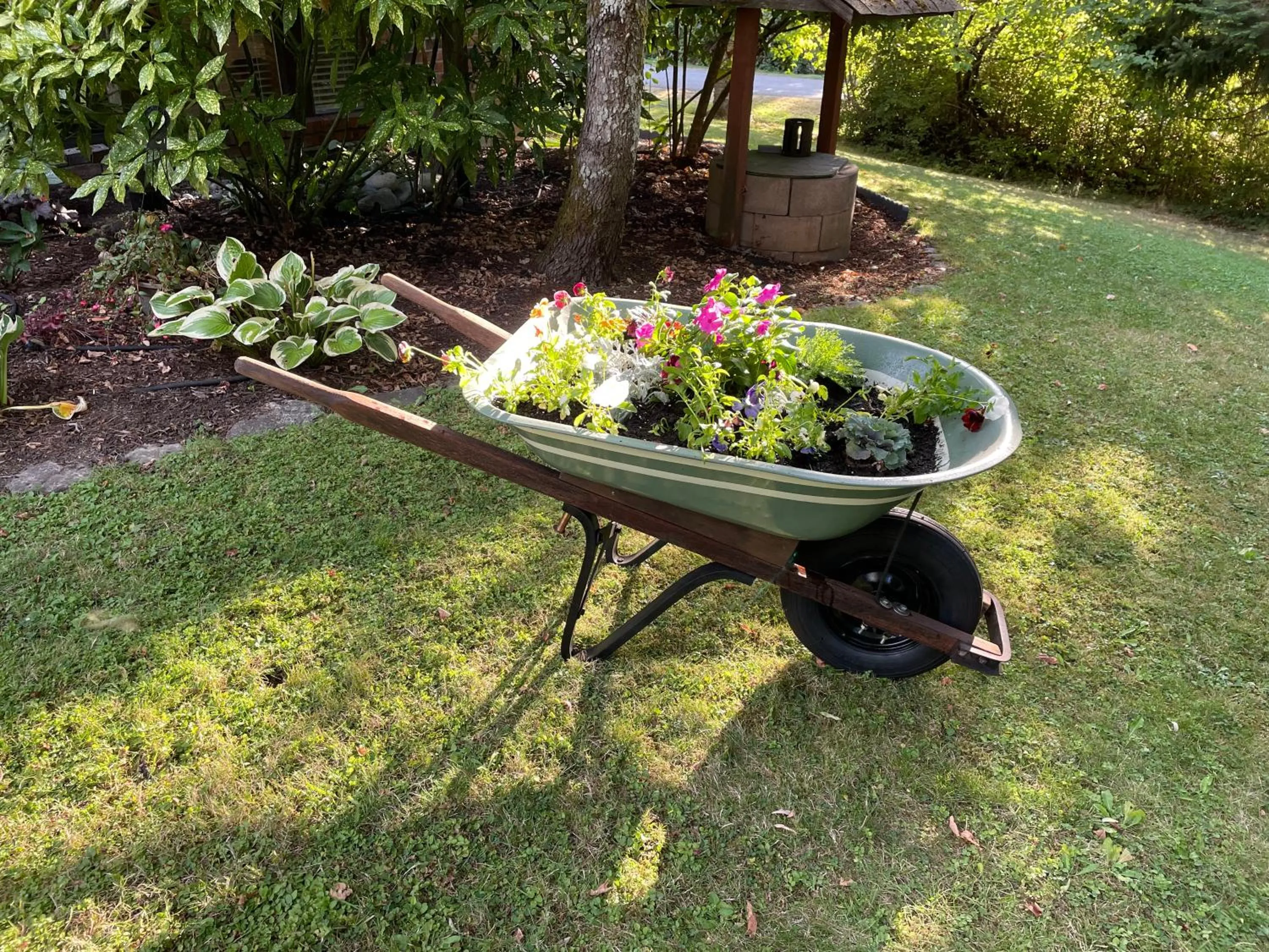 Garden in Coles Bay Vacation Retreat