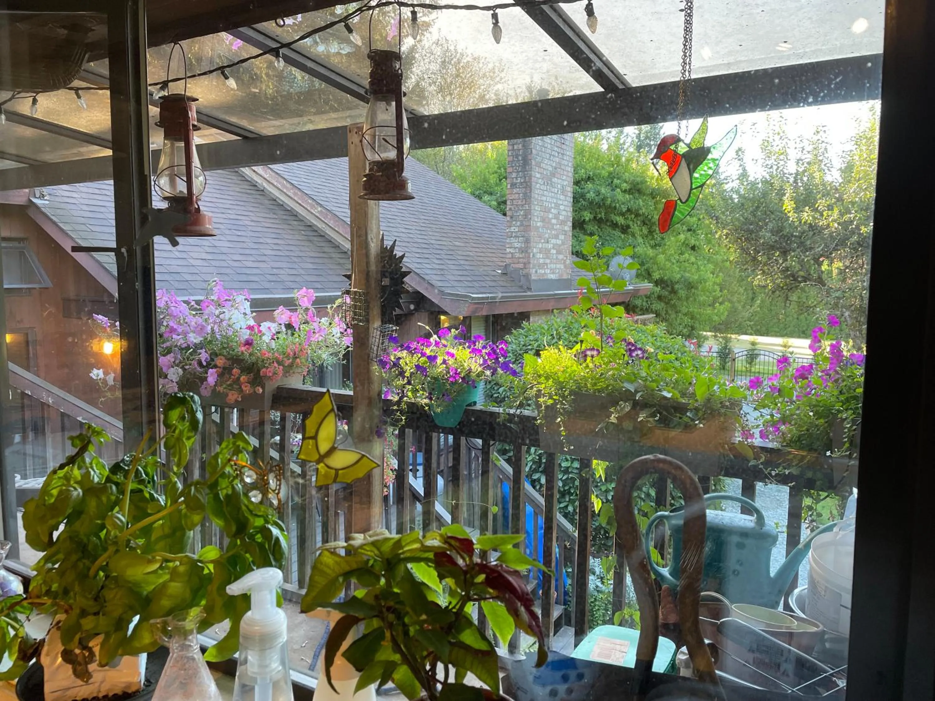 Garden in Coles Bay Vacation Retreat