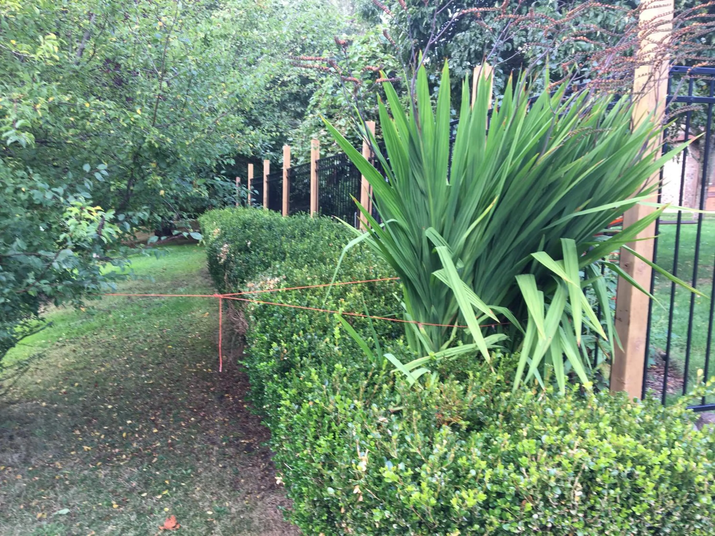 Garden in Coles Bay Vacation Retreat