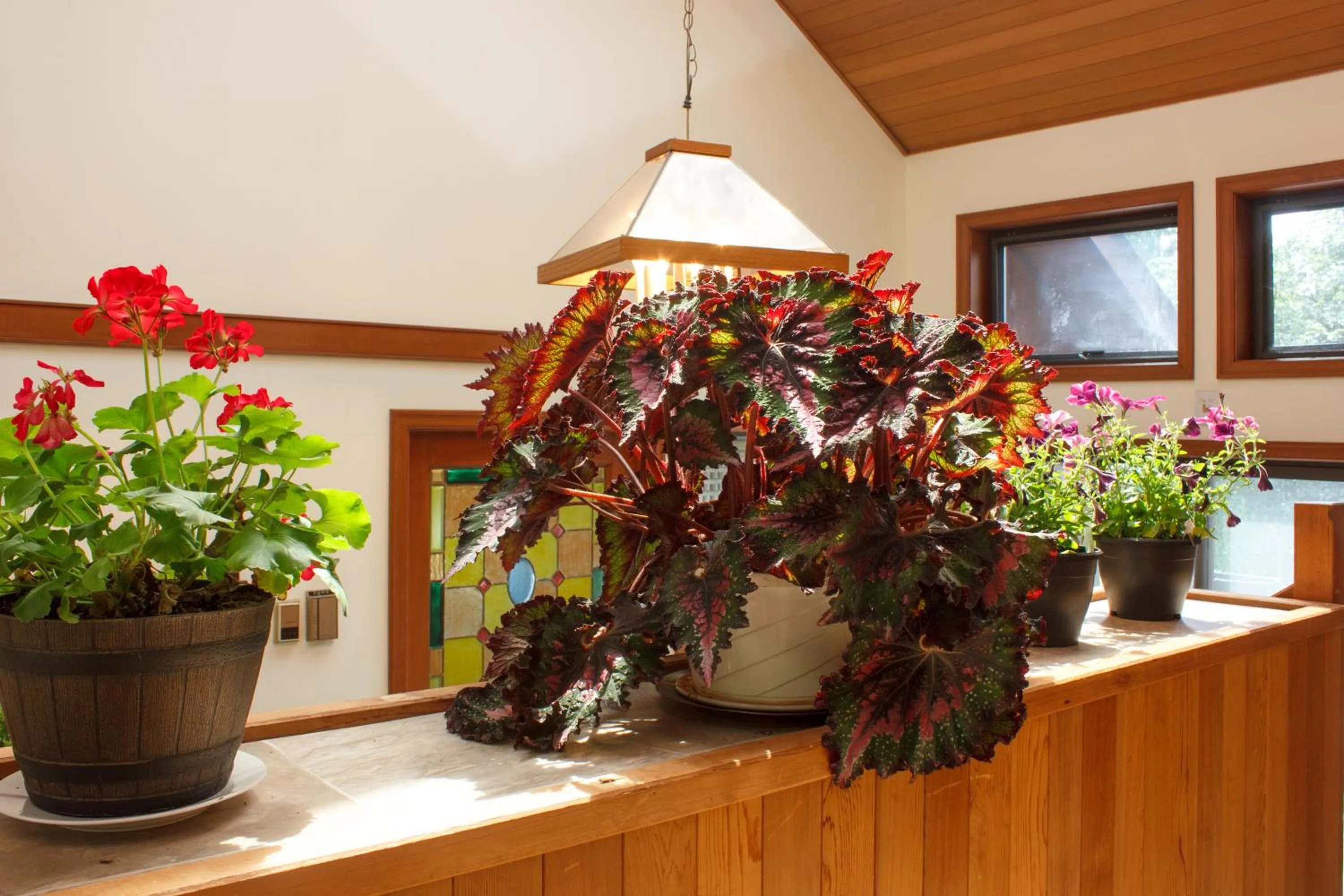 Decorative detail in Coles Bay Vacation Retreat