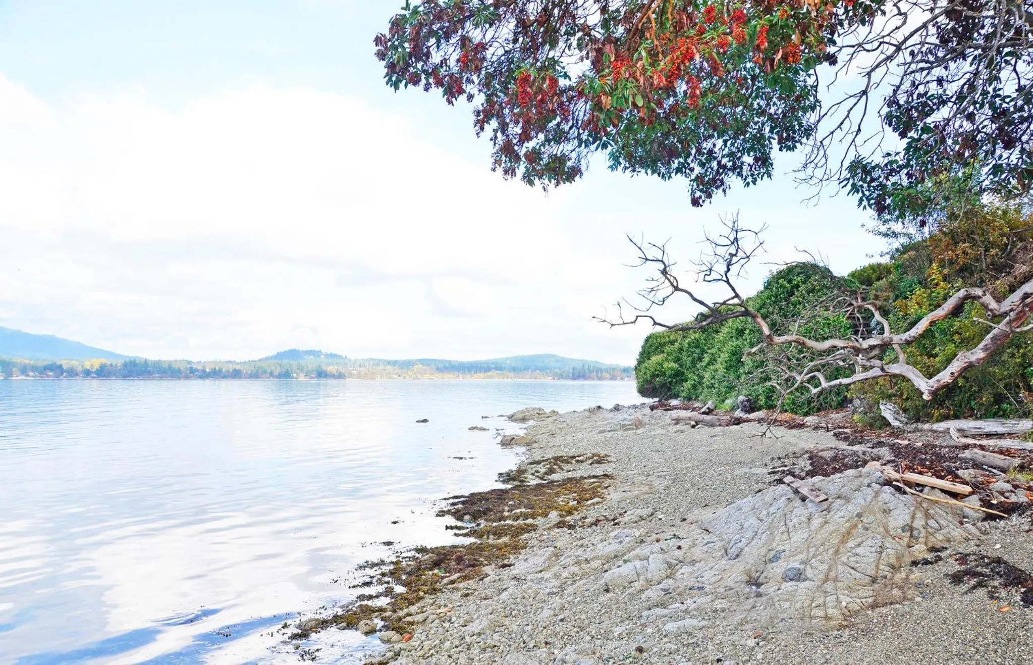Natural landscape in Coles Bay Vacation Retreat
