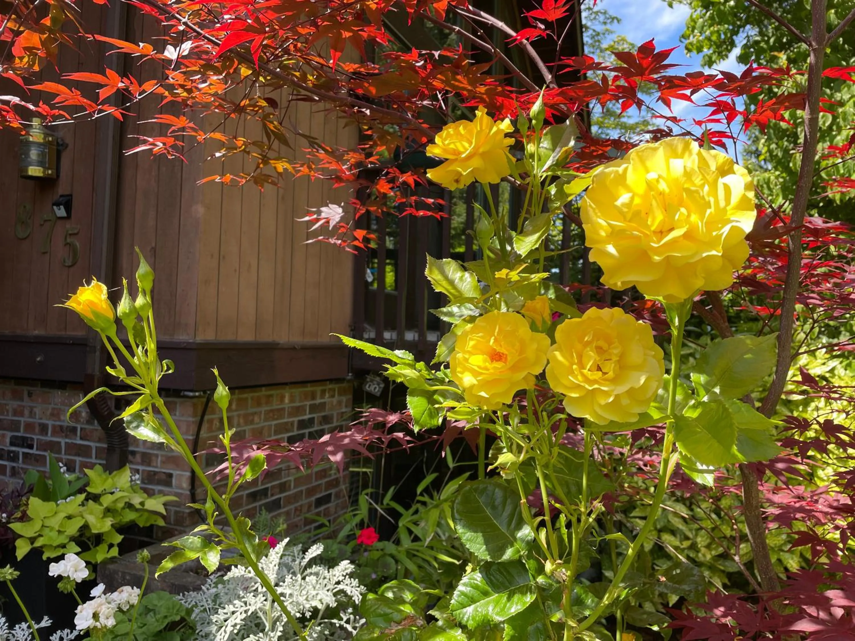 Garden in Coles Bay Vacation Retreat