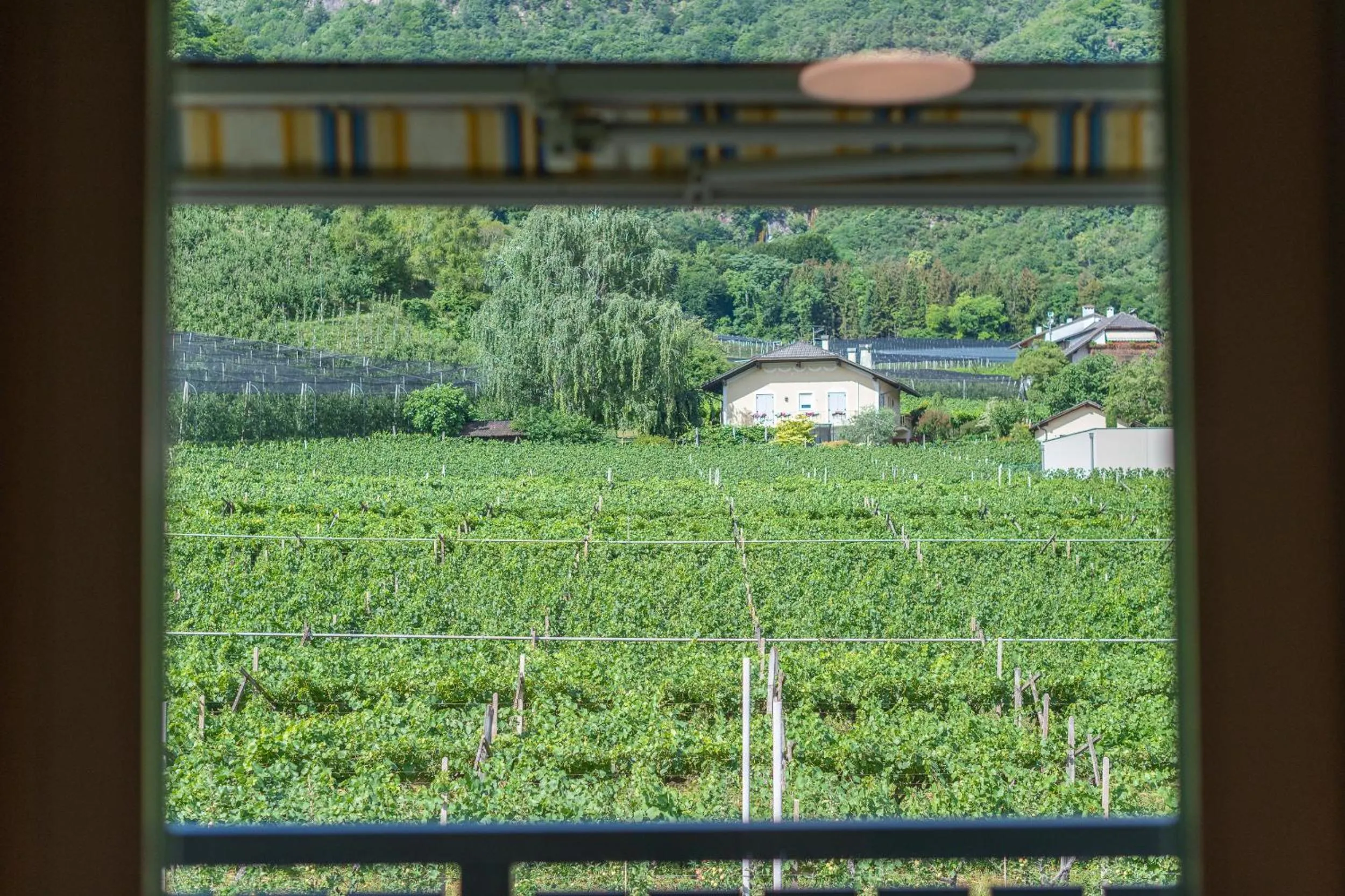 View (from property/room) in Haus Stolz