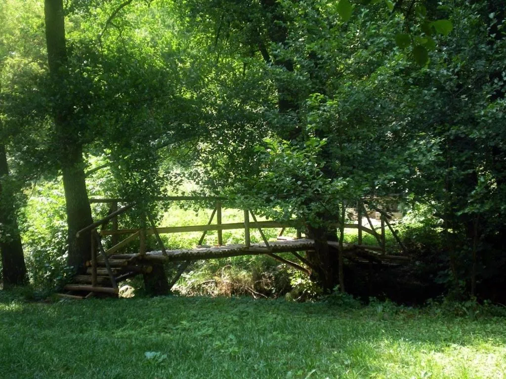 Area and facilities in Hotel Paradise Place