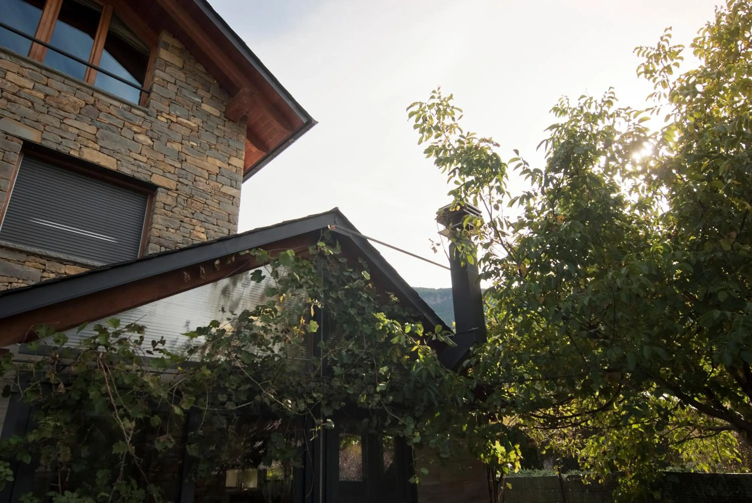 Garden in Can Congost