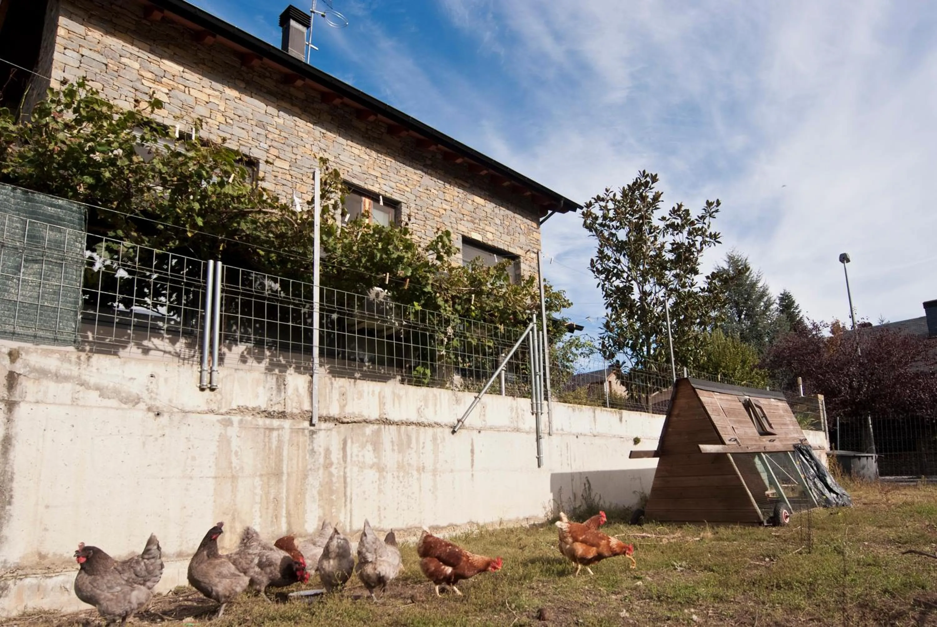 Property building in Can Congost