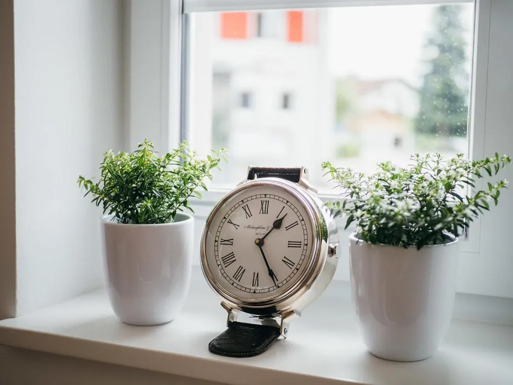 Area and facilities in Landhotel Adler