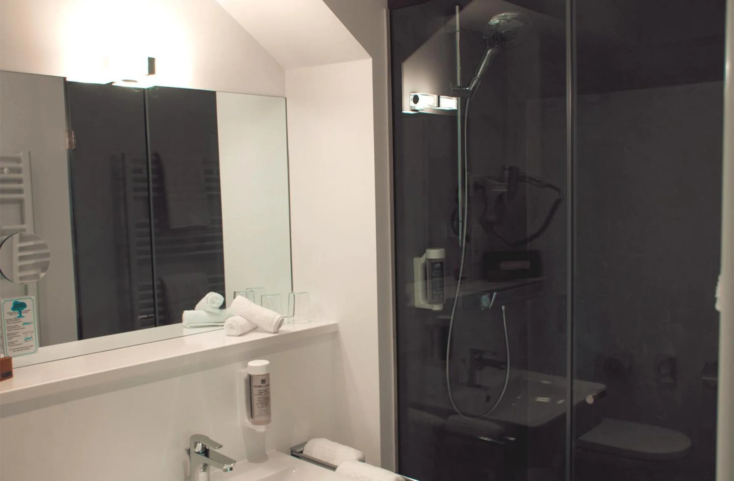 Shower in Landhotel Adler