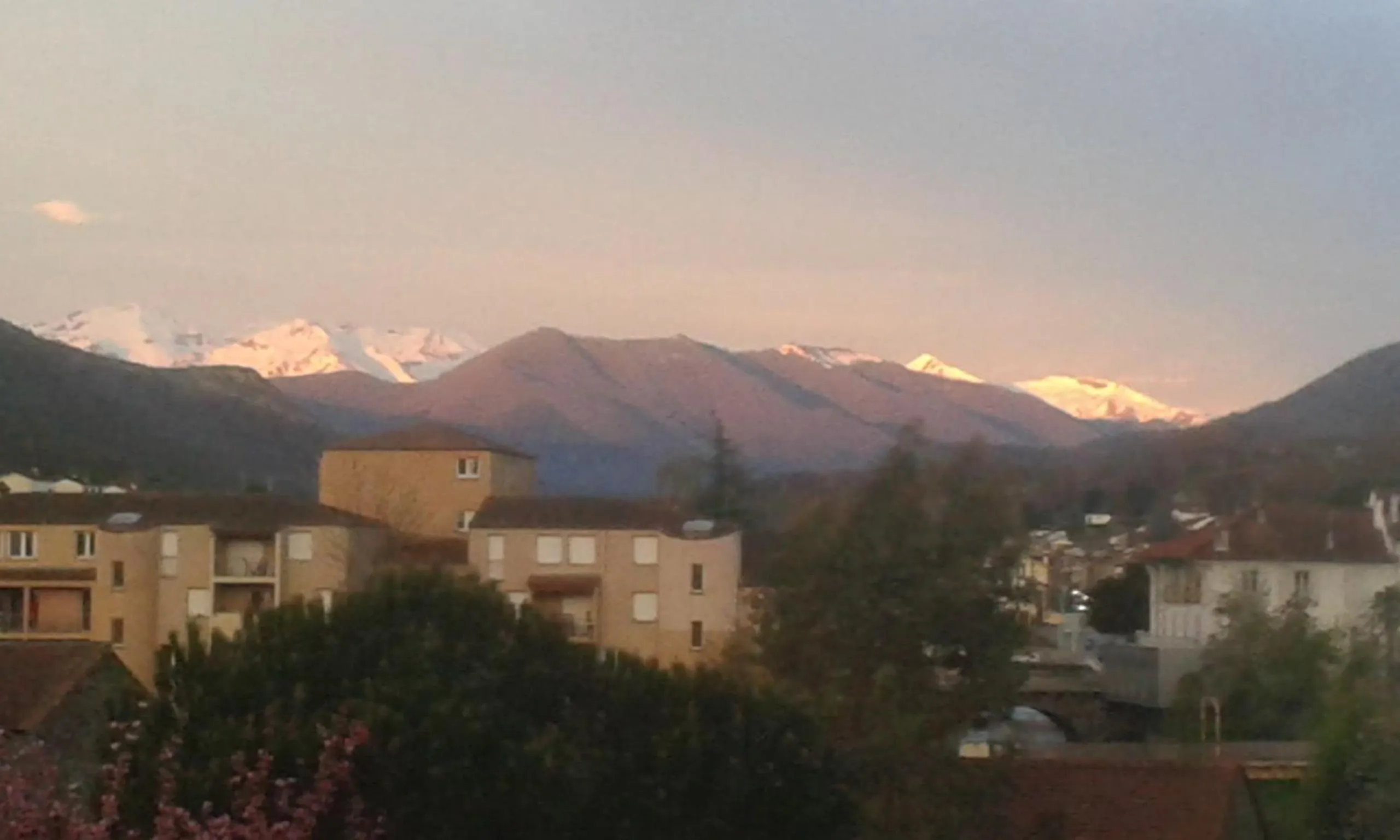Garden in Chambres d'Hôtes L'Enclos des Jacobins