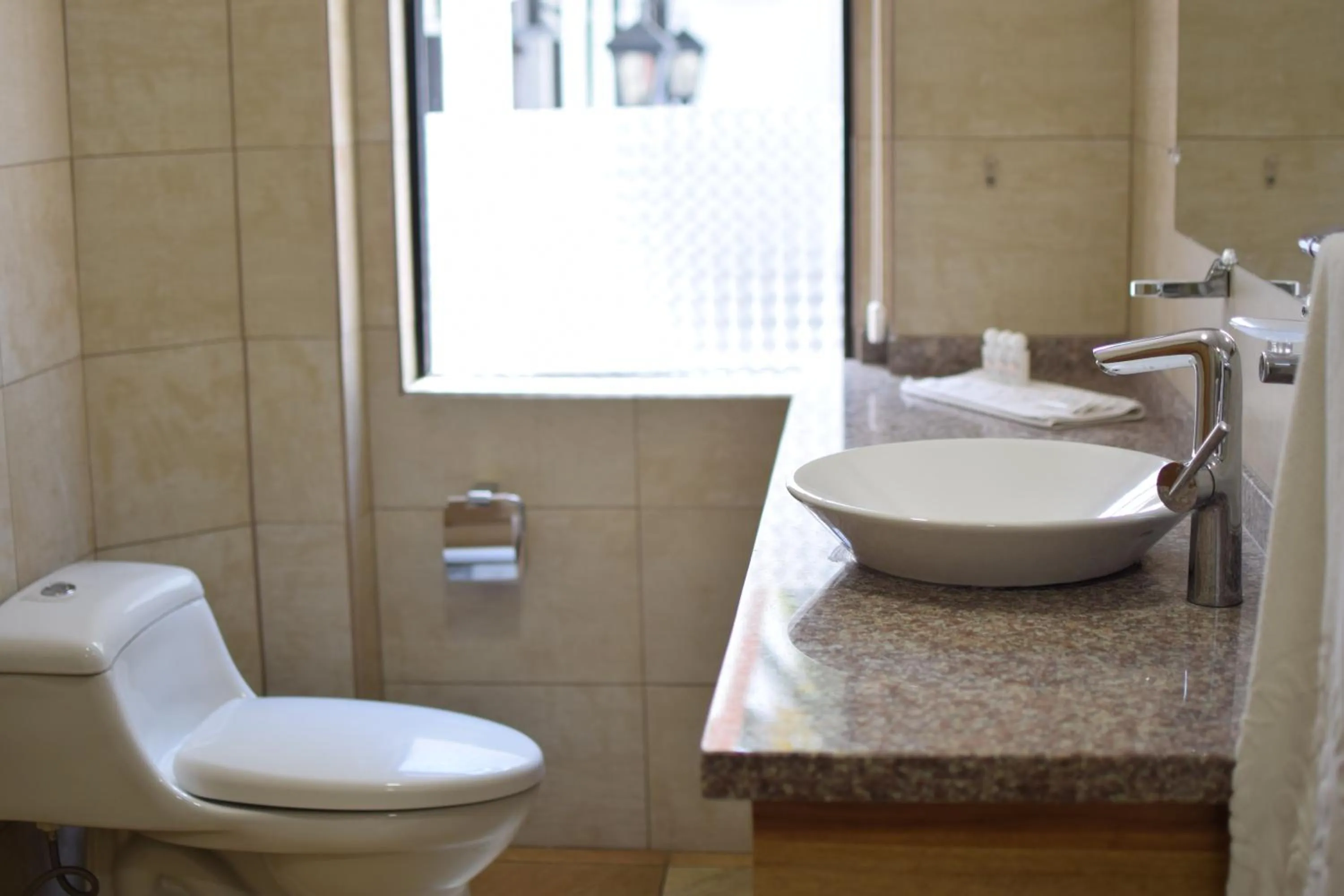 Property building in Hotel Ambassador