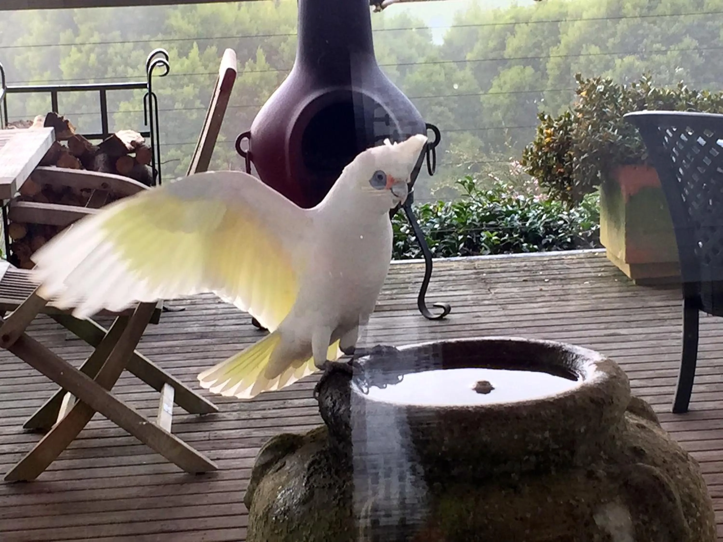 Balcony/Terrace in Llarrinda Bed & Breakfast