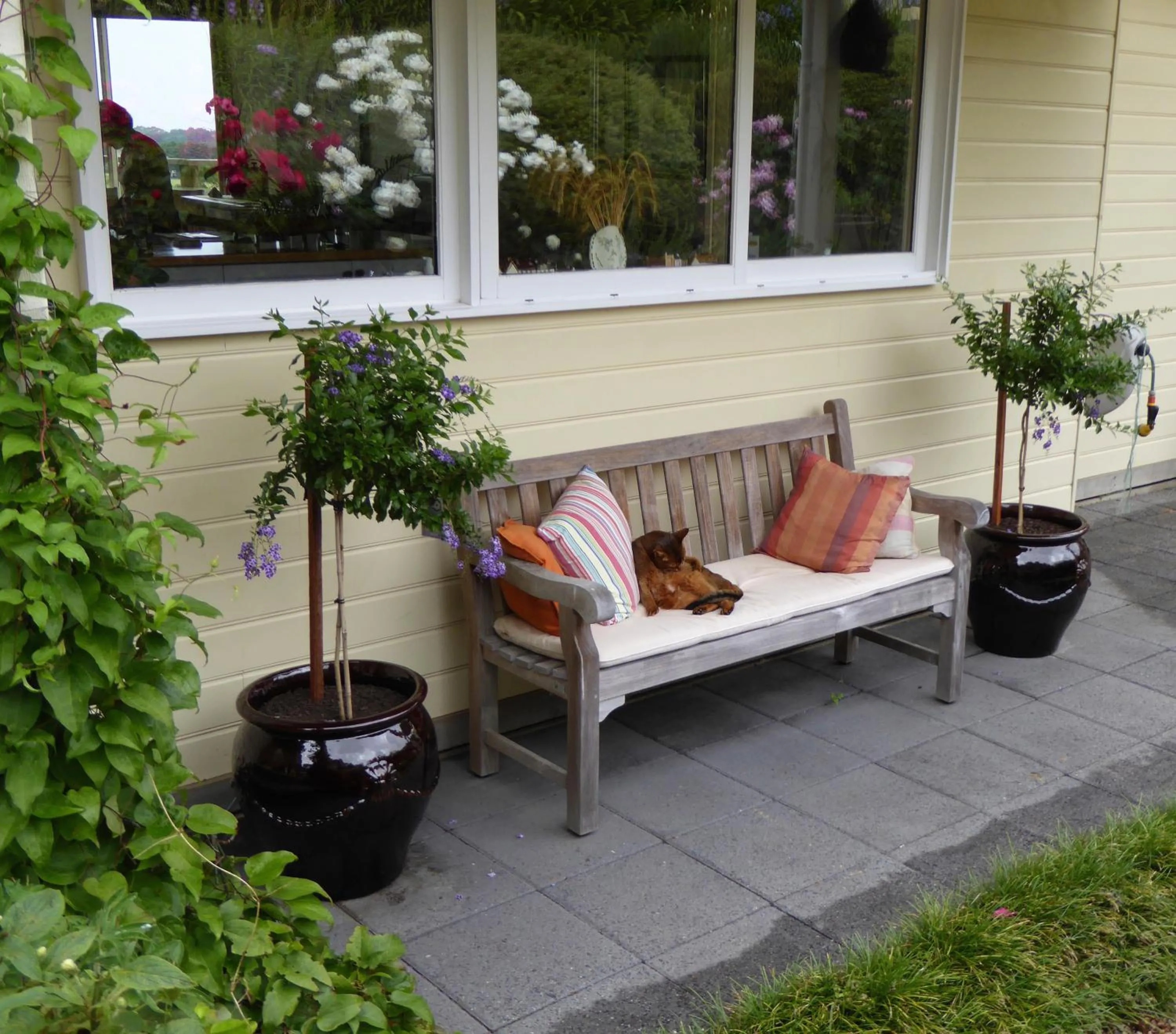 Garden in Llarrinda Bed & Breakfast