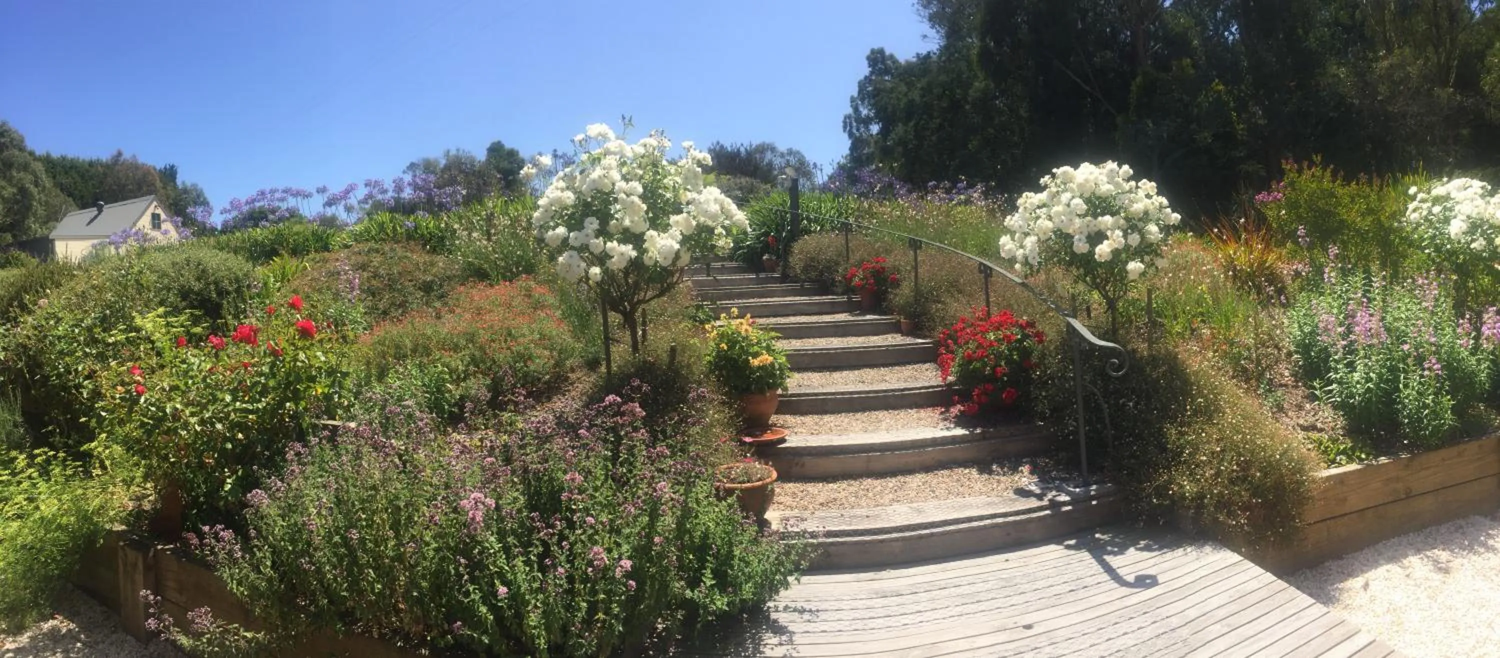 Garden in Llarrinda Bed & Breakfast