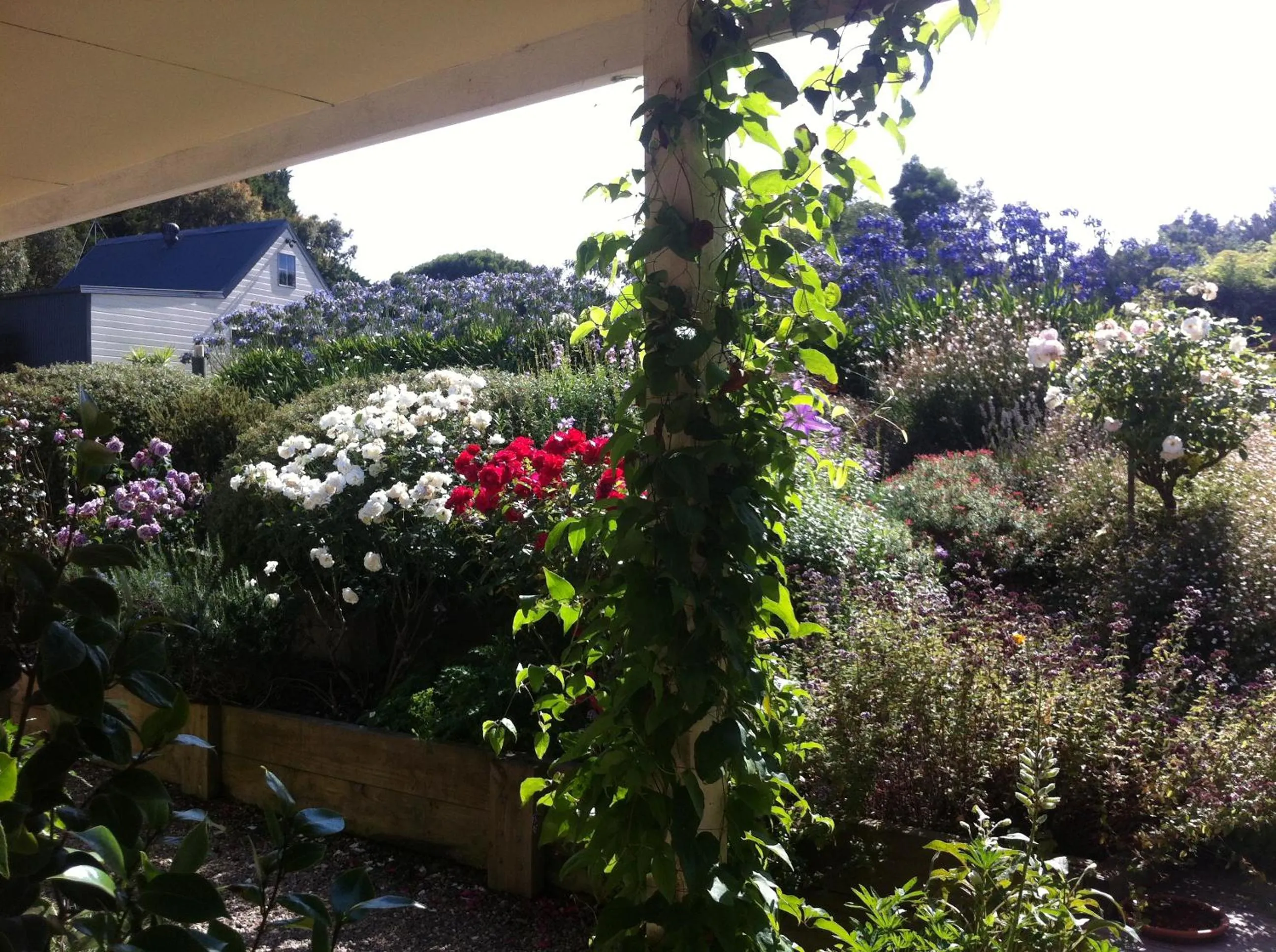 Garden in Llarrinda Bed & Breakfast