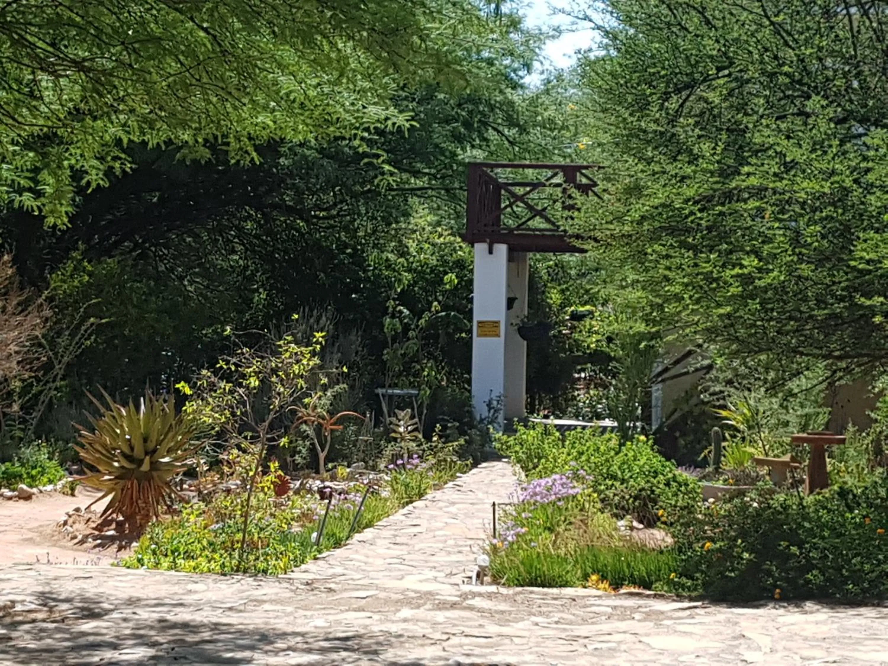 Garden in Steytlerville Villa Guest house