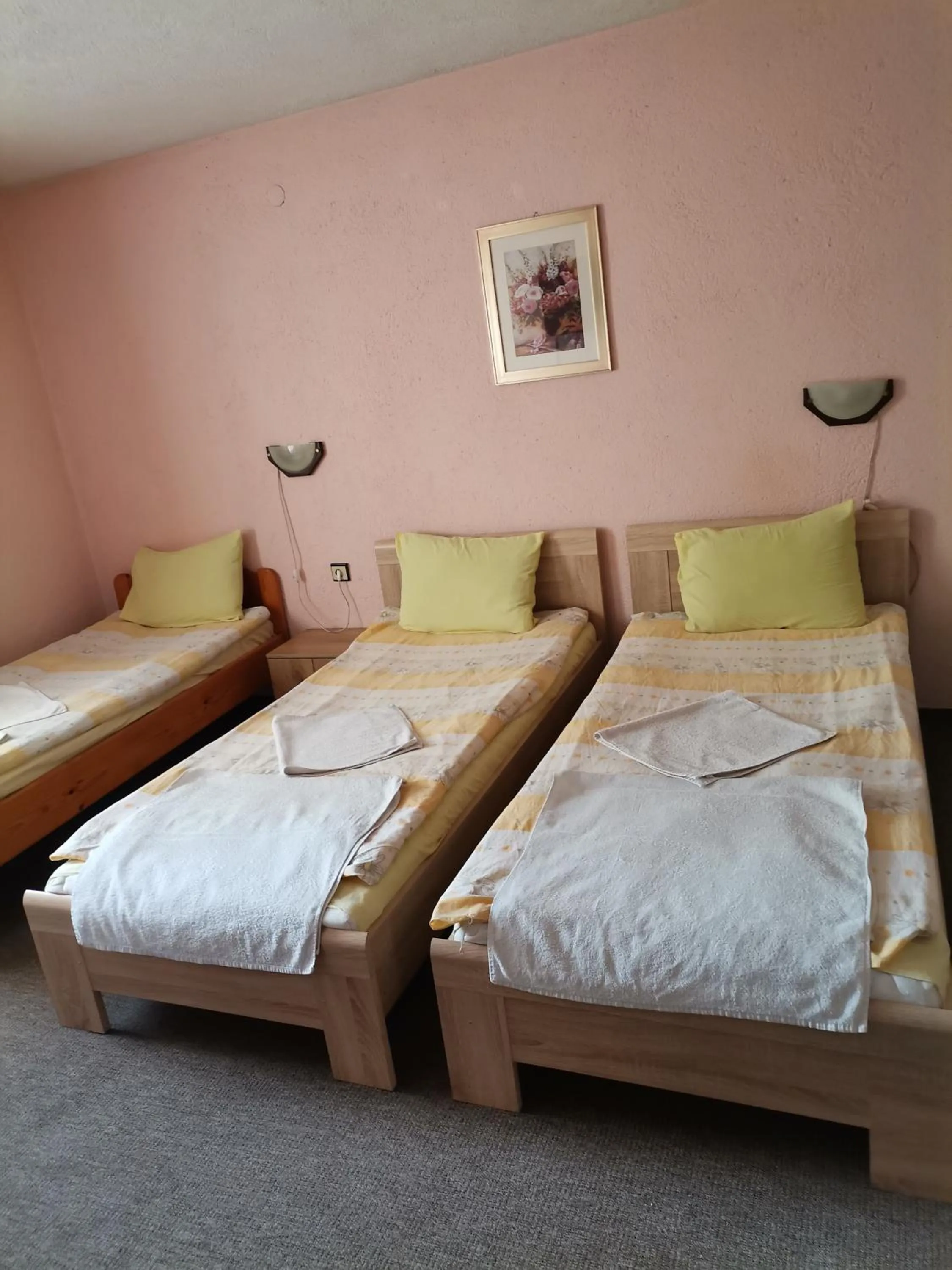 Bed in Family Hotel Santo Bansko