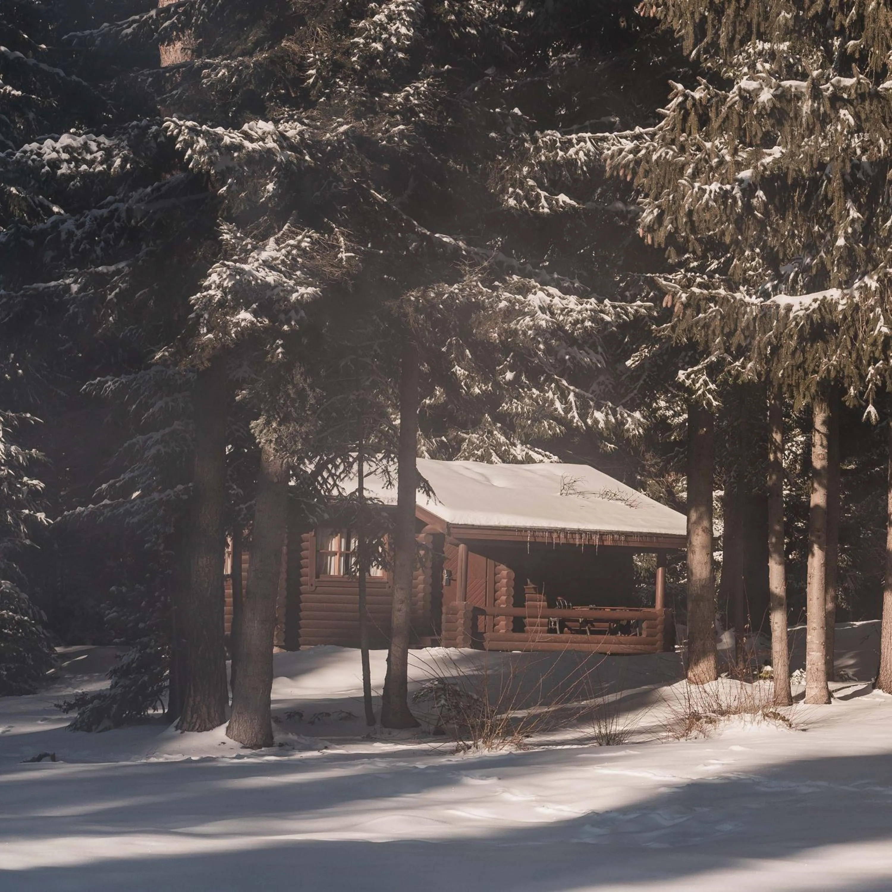 Villas Jagoda & Malina