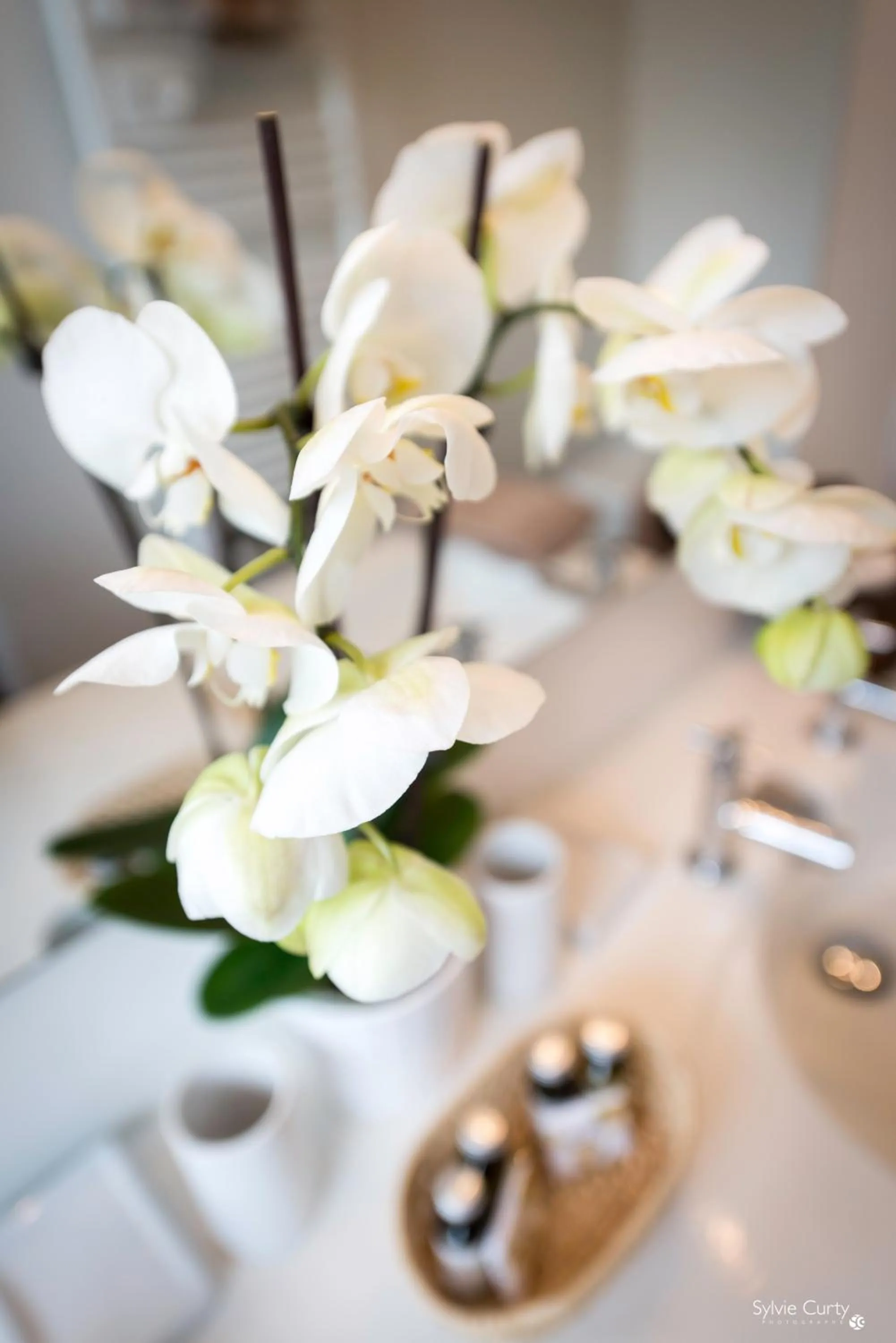 Bathroom in Villa Verde La Rochelle