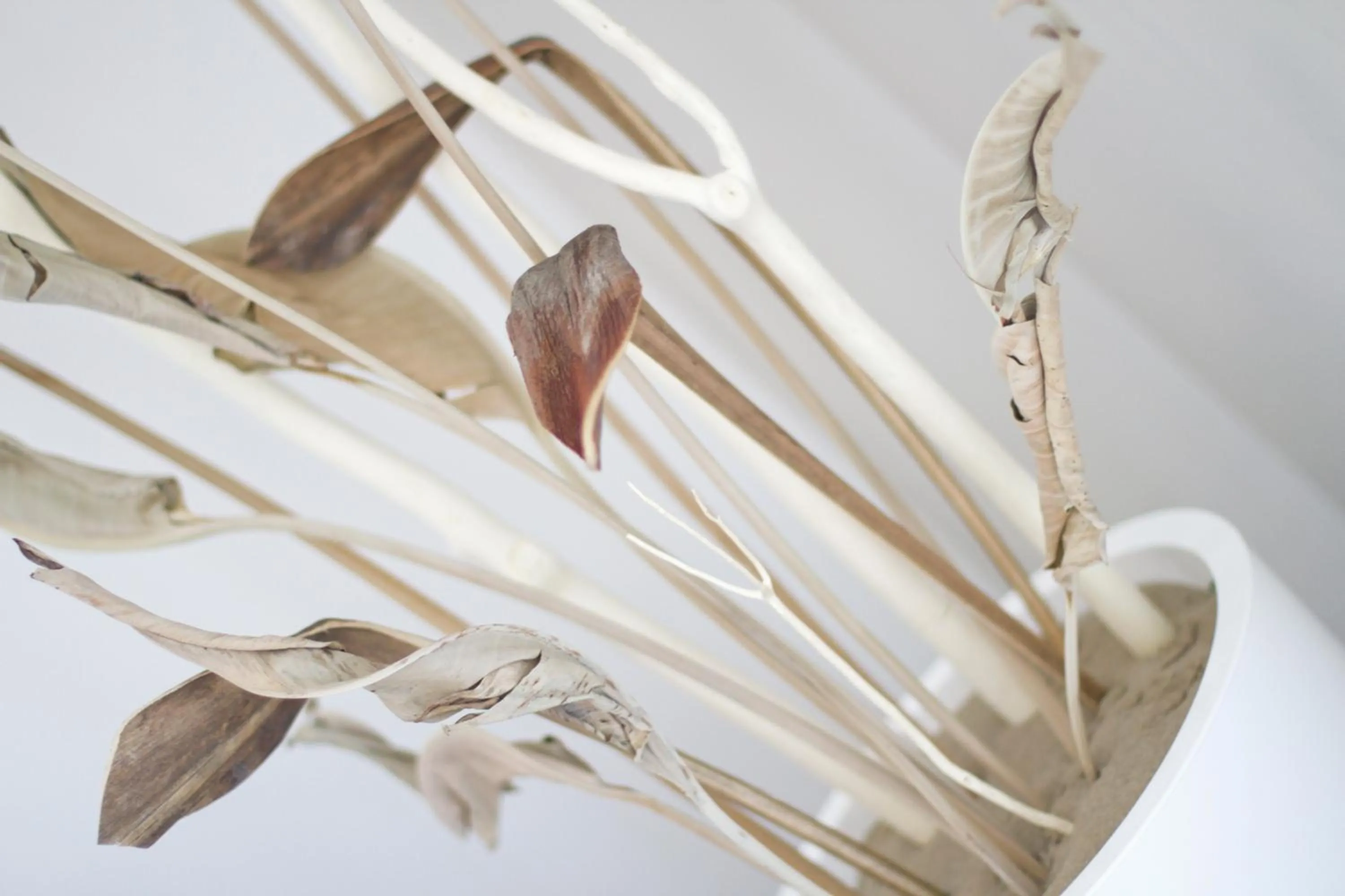 Other in Residence Armony