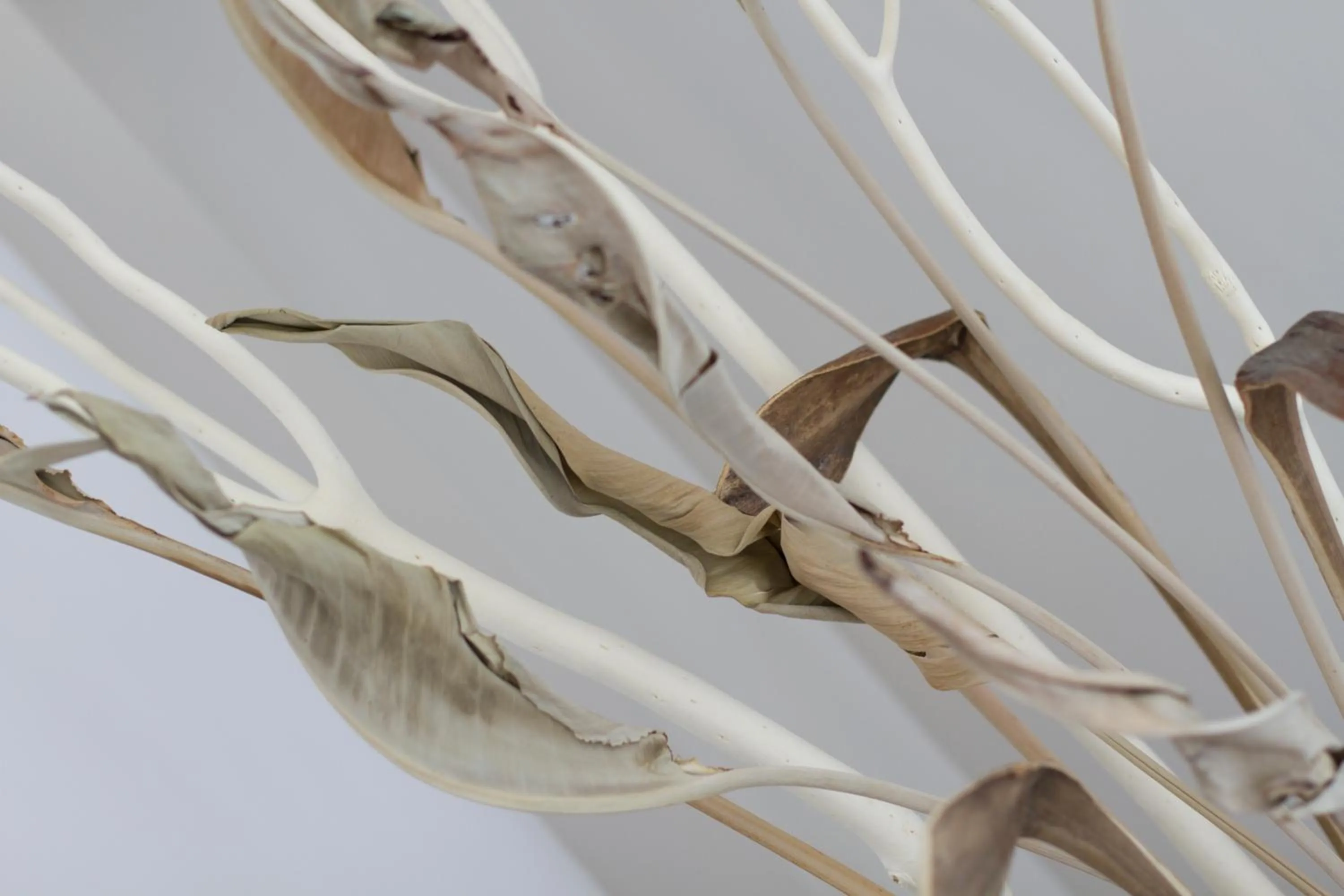 Decorative detail in Residence Armony