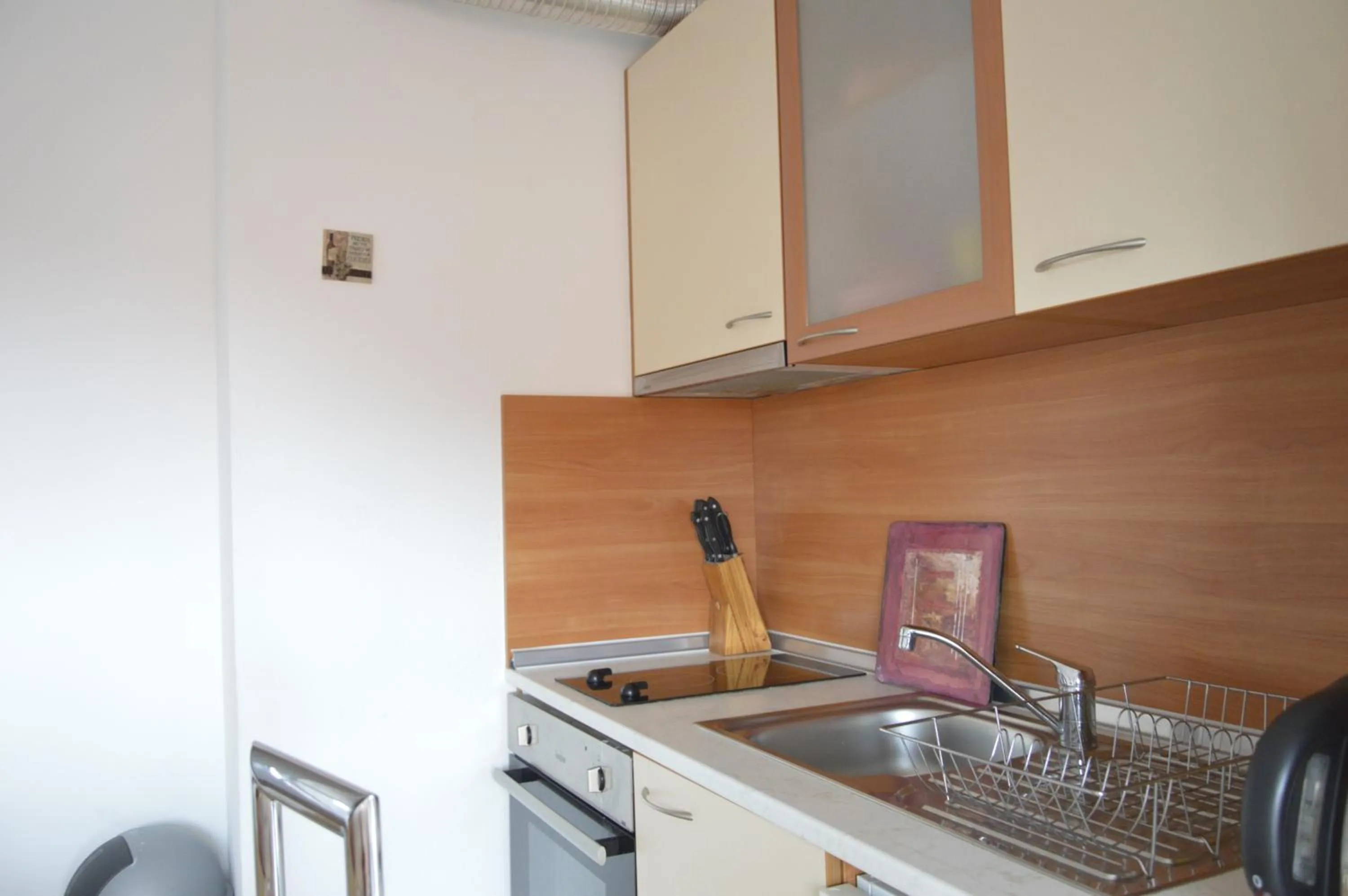 Kitchen or kitchenette in Persey Flora Apartments