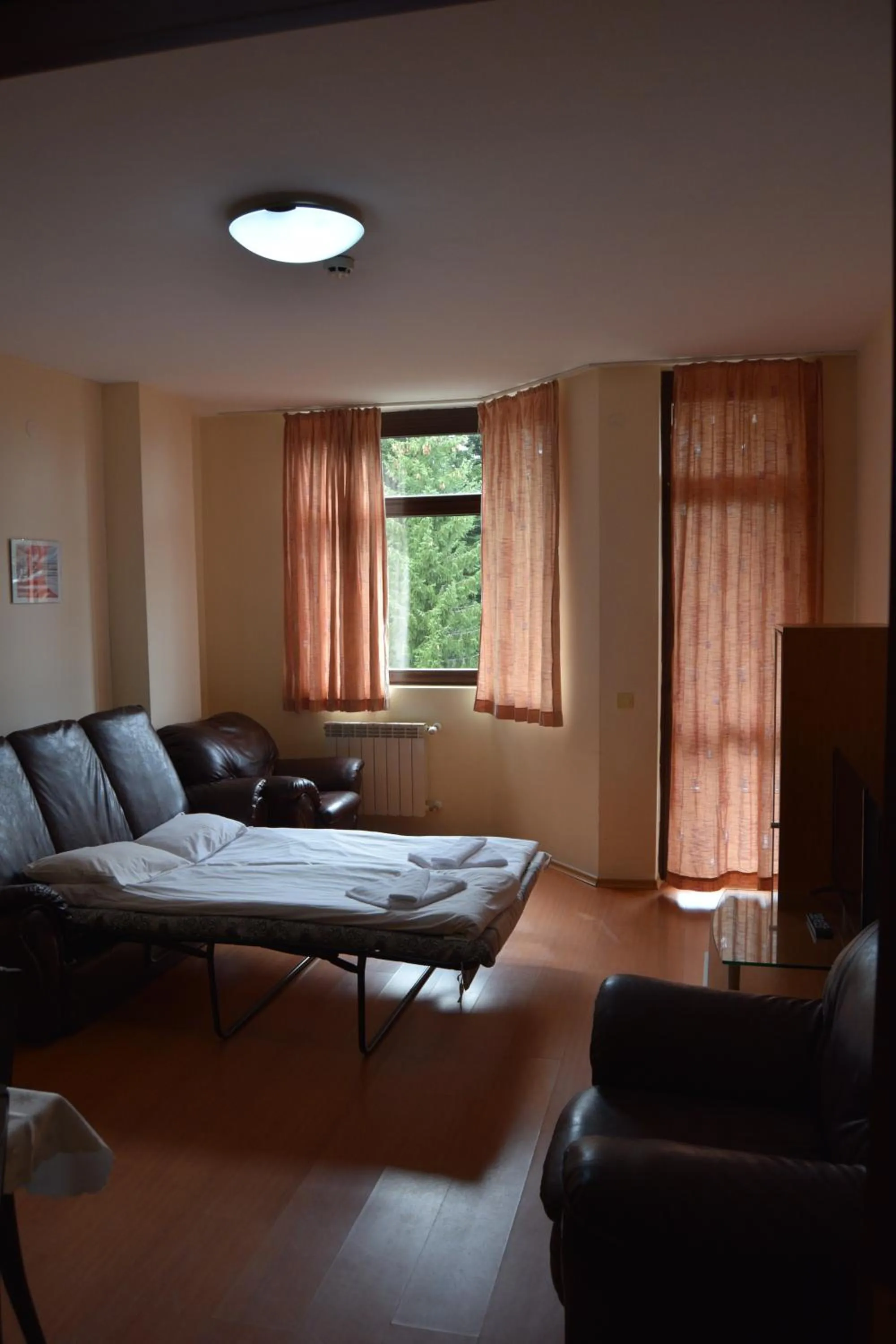 Living room, Bed in Persey Flora Apartments