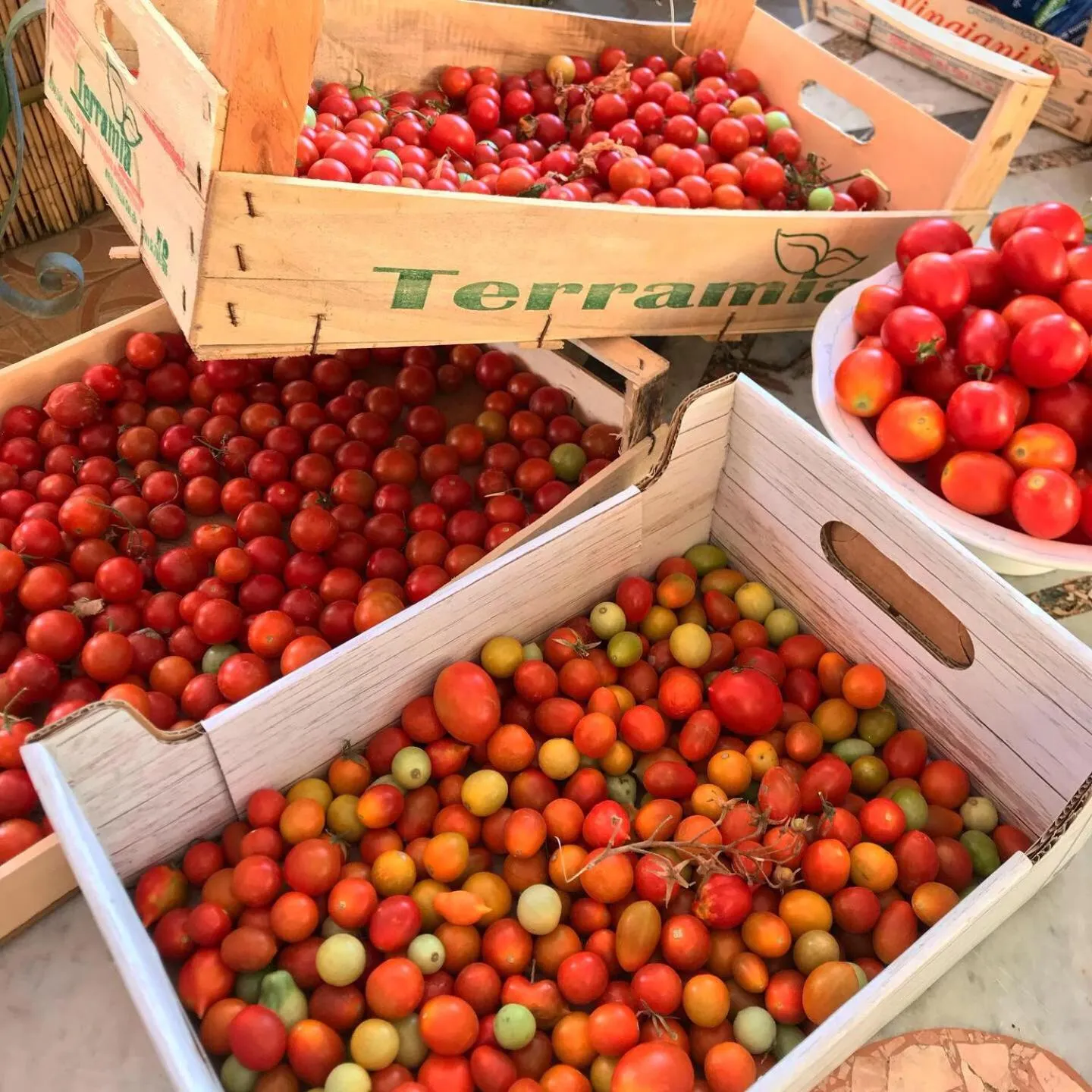 Food in Residence Villa Cristina