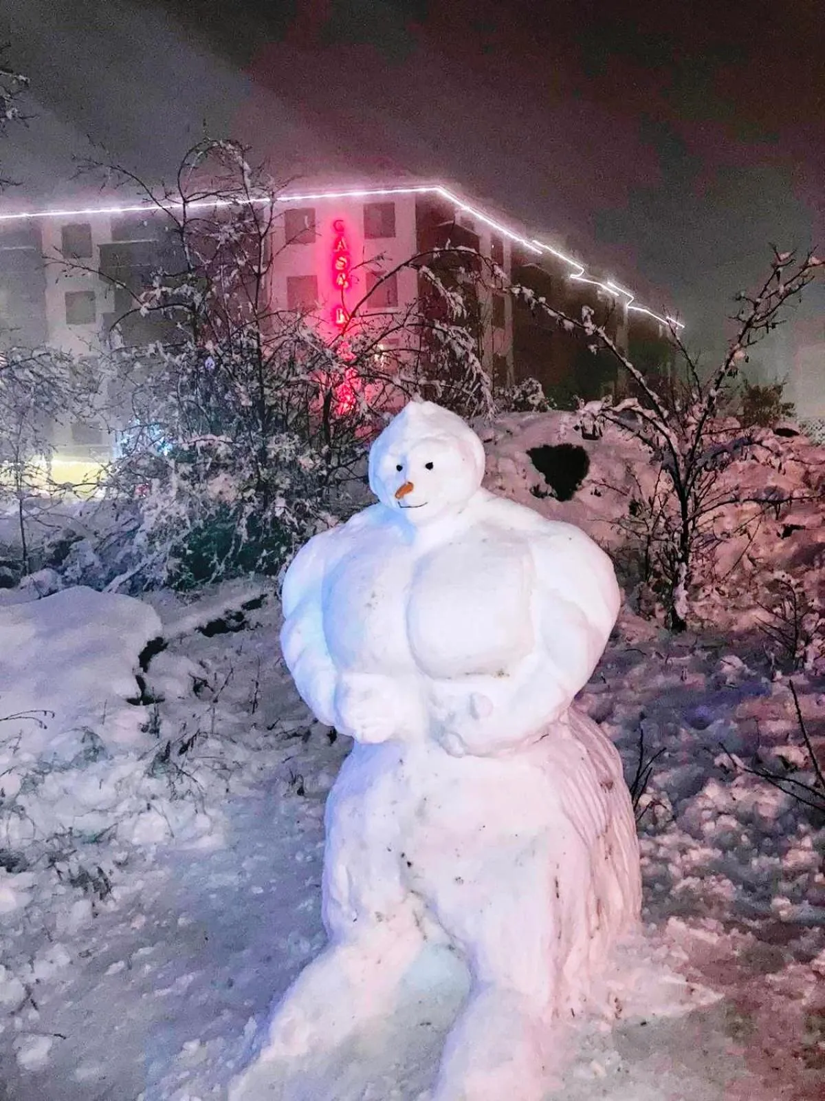 Facade/entrance in Hotel Casa Karina Bansko - Half Board & All Inclusive