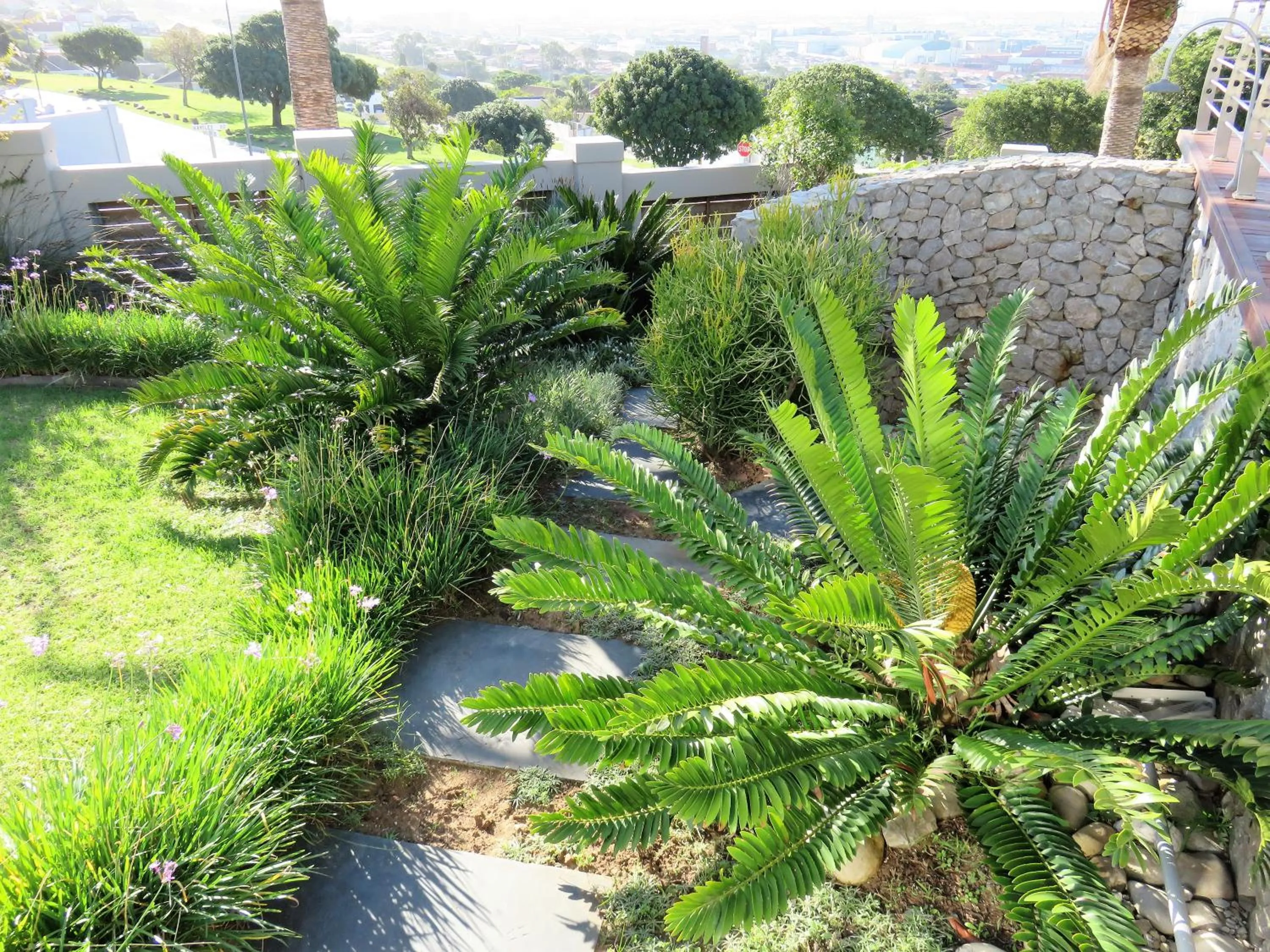 Natural landscape in Island Way Villa