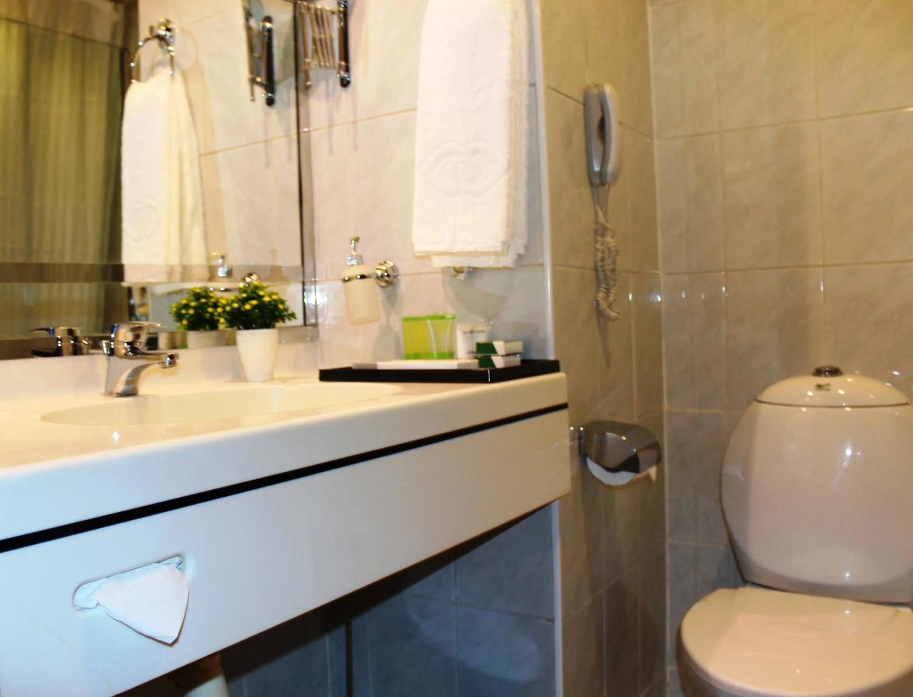 Bathroom in Al Khaleej Grand Hotel