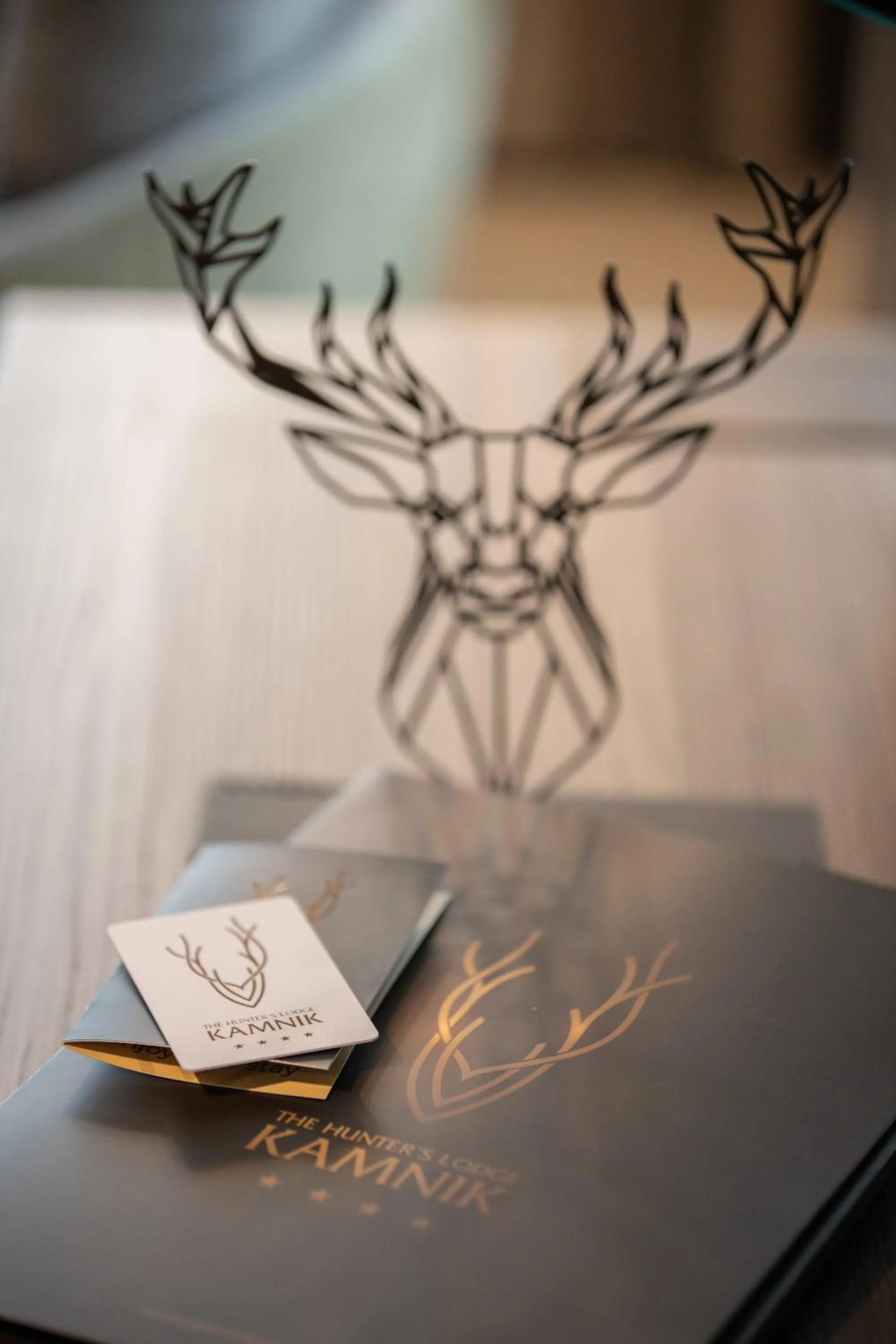 Decorative detail in The Hunter's Lodge Kamnik