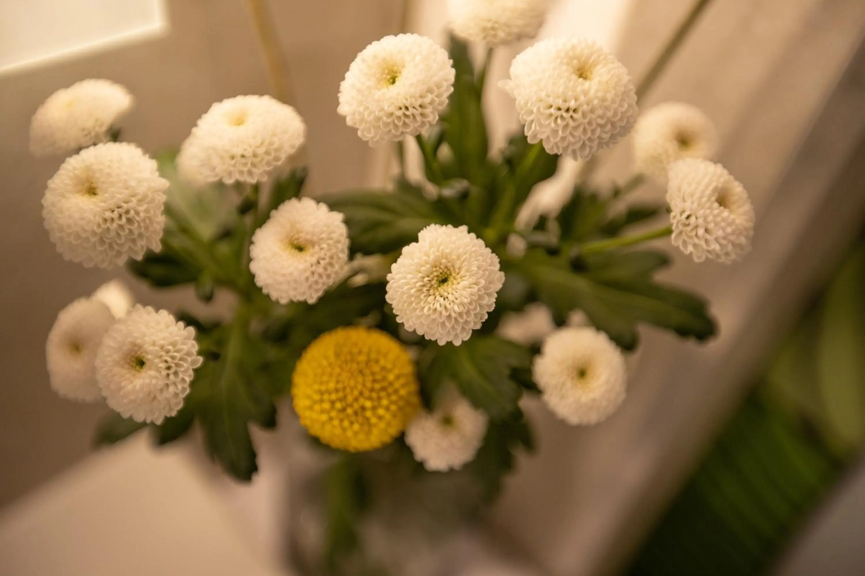 Decorative detail in The Hunter's Lodge Kamnik