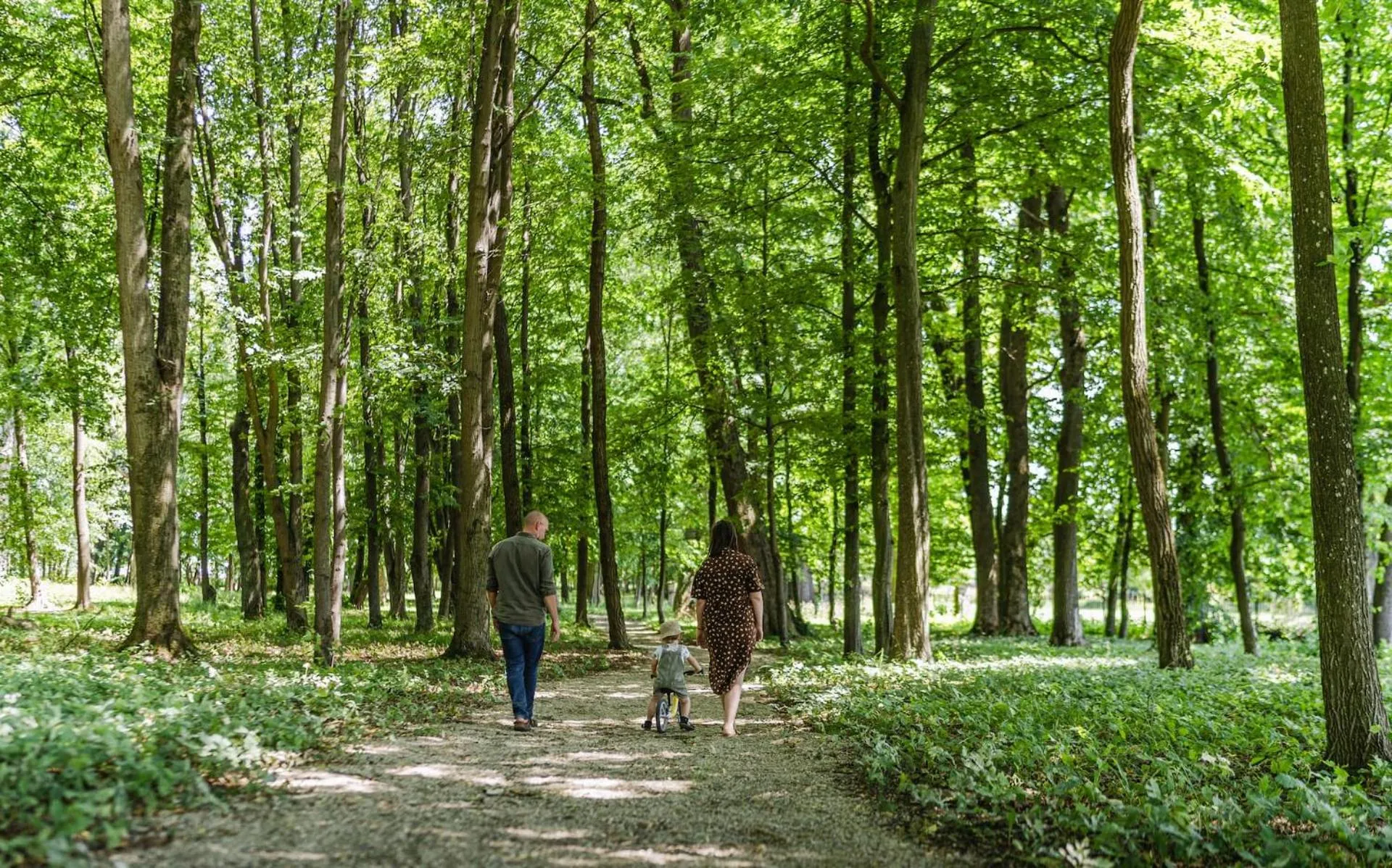 Activities in Dwór Kombornia Hotel&SPA