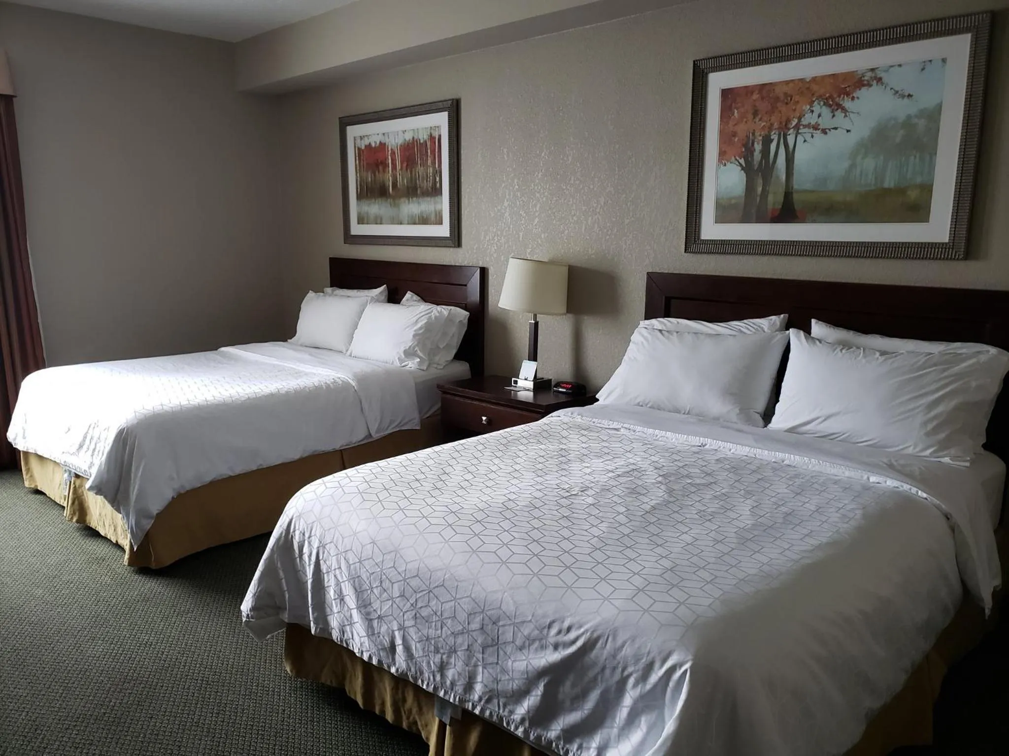 Photo of the whole room, Bed in Holiday Inn Express Dryden by IHG