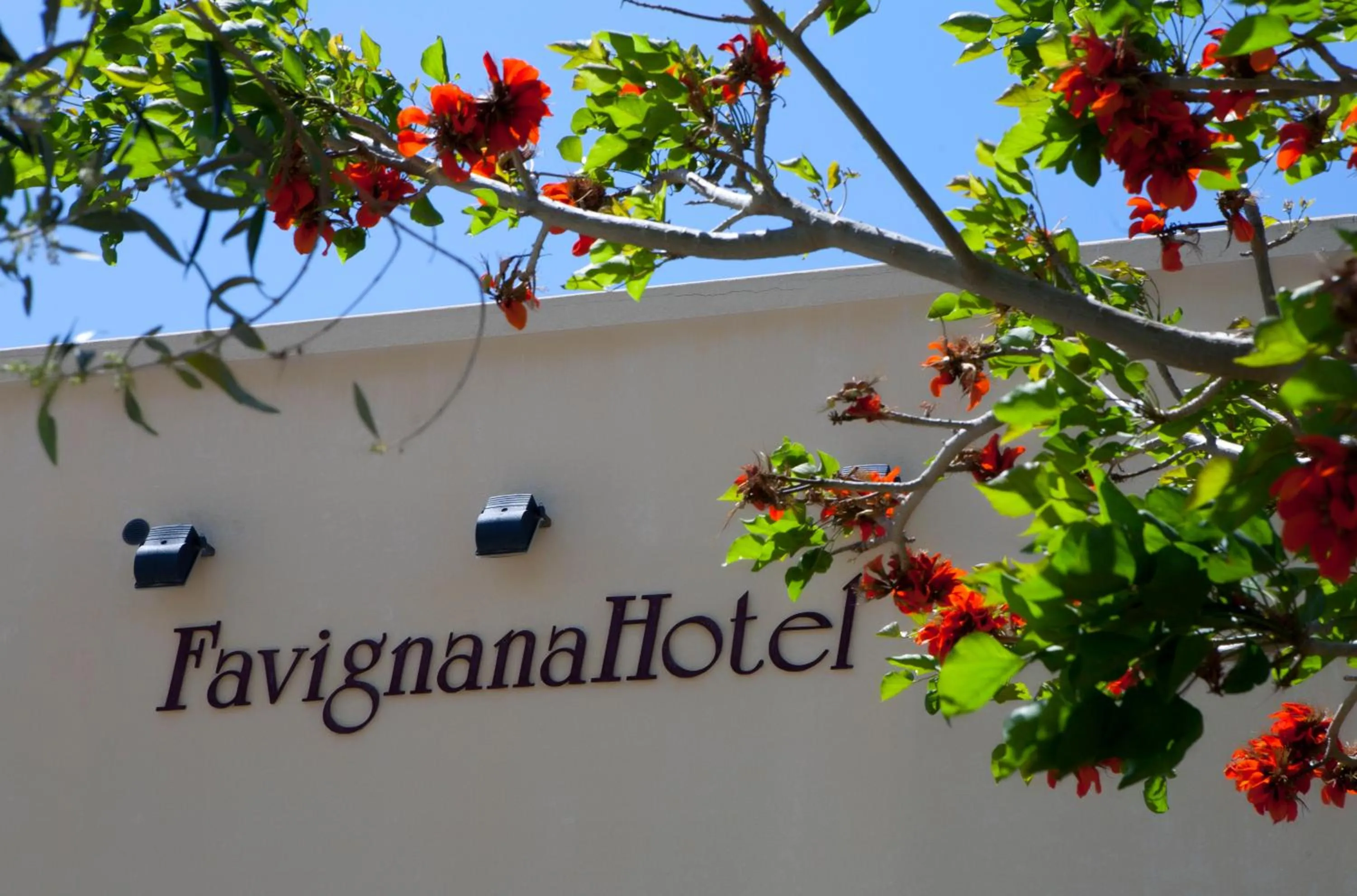 Facade/entrance in FAVIGNANA HOTEL Concept Holiday