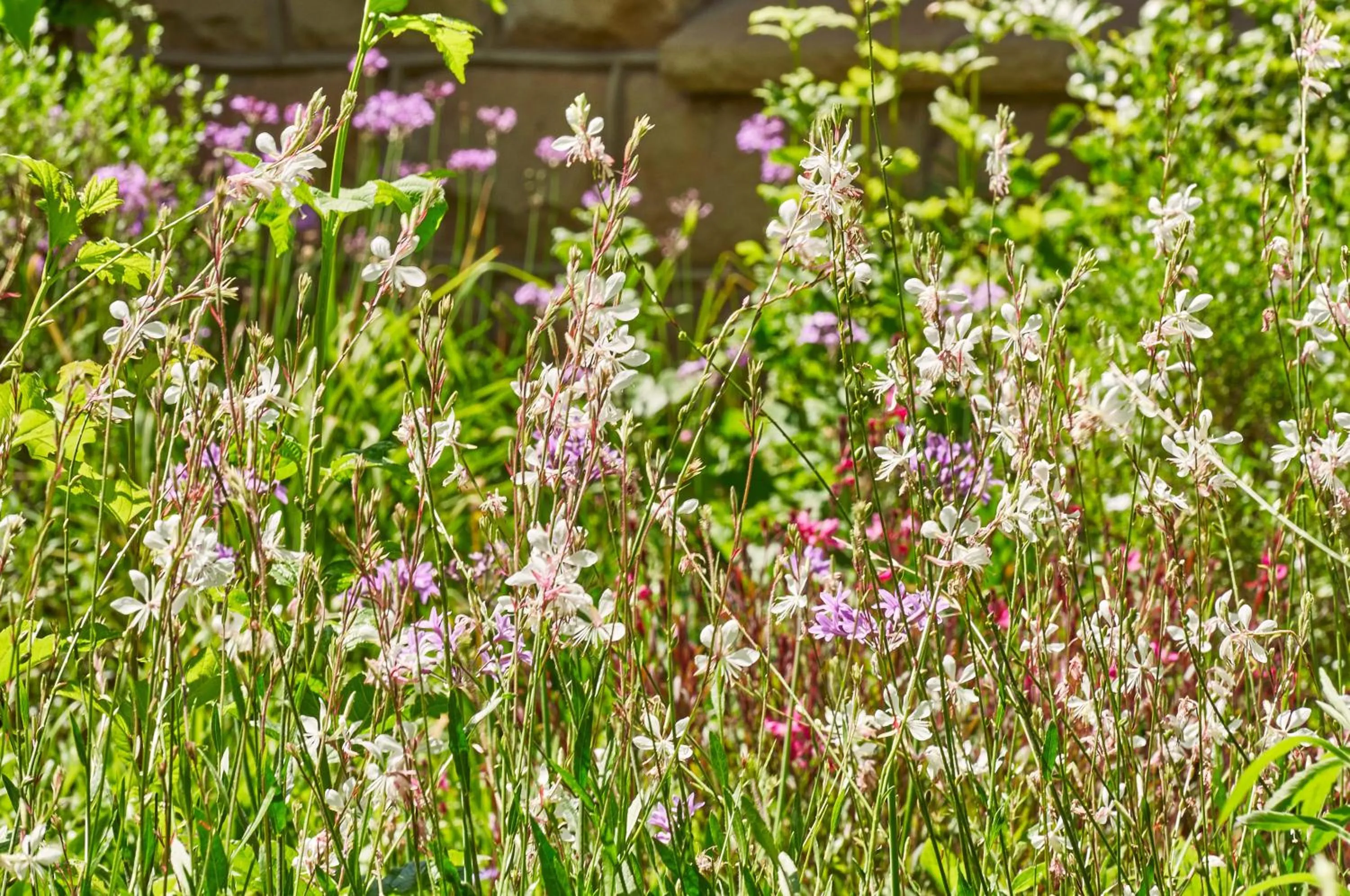 Garden in Linwood Guest Farm