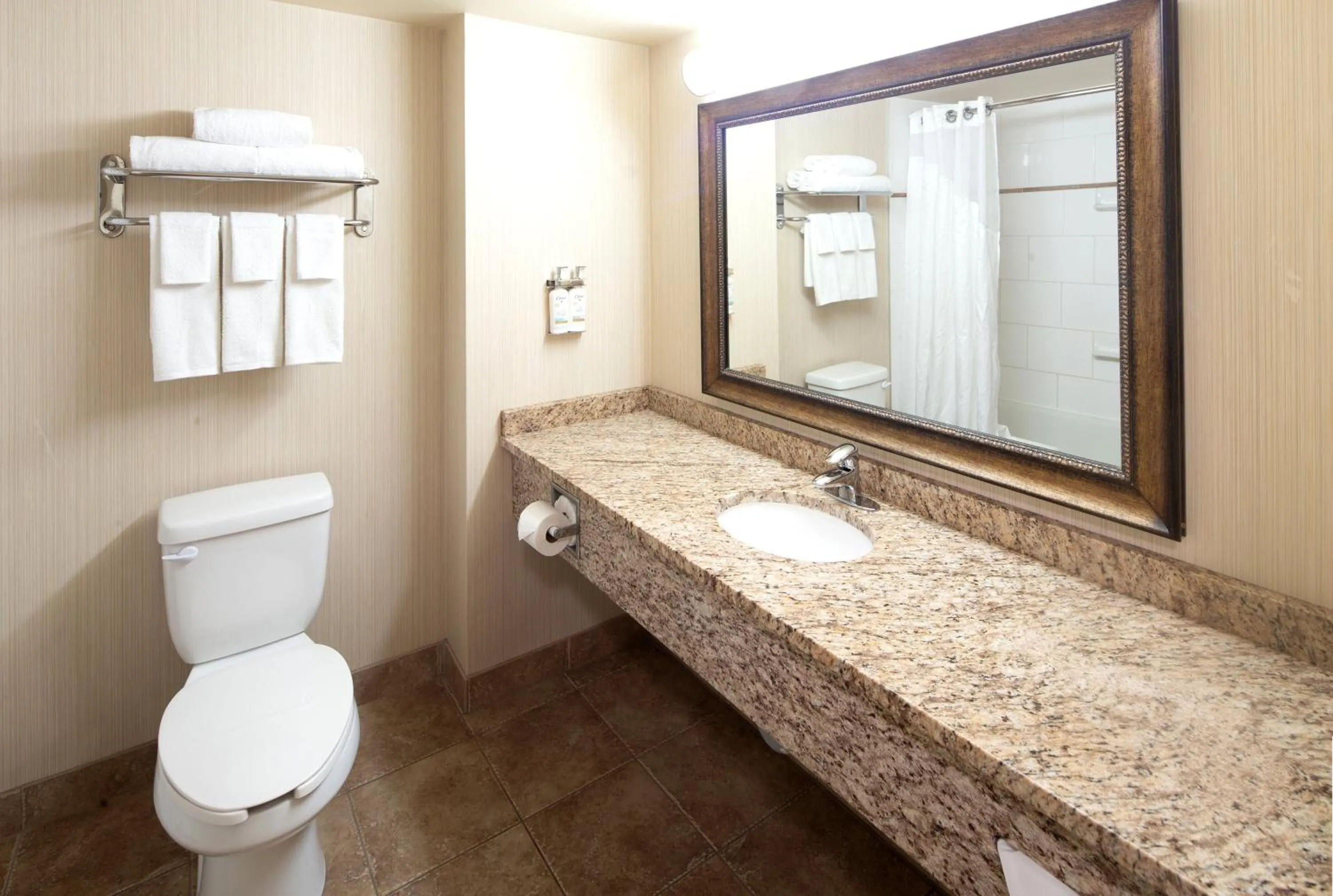 Bathroom in Holiday Inn Express Hotel & Suites Edson by IHG