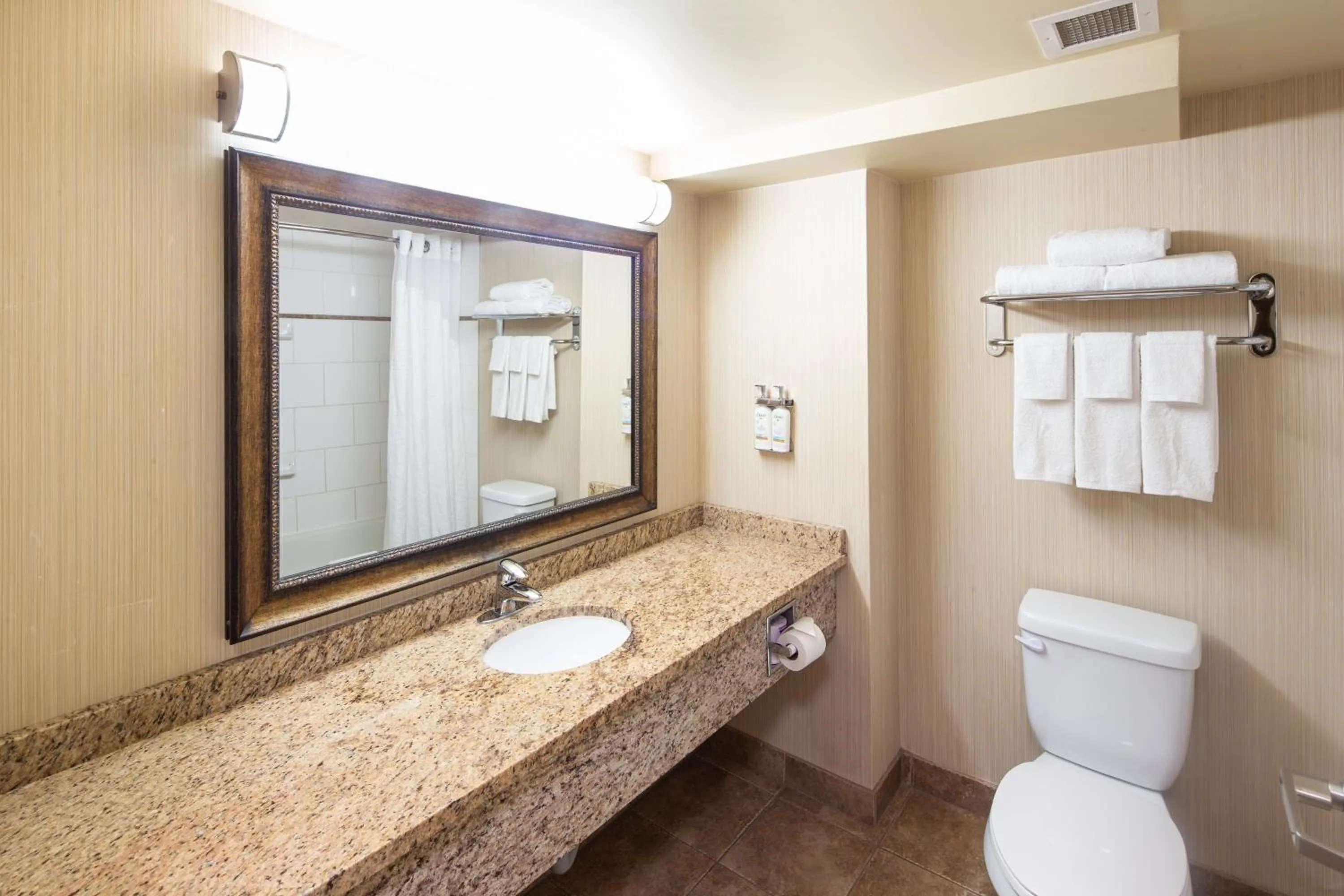 Bathroom in Holiday Inn Express Hotel & Suites Edson by IHG