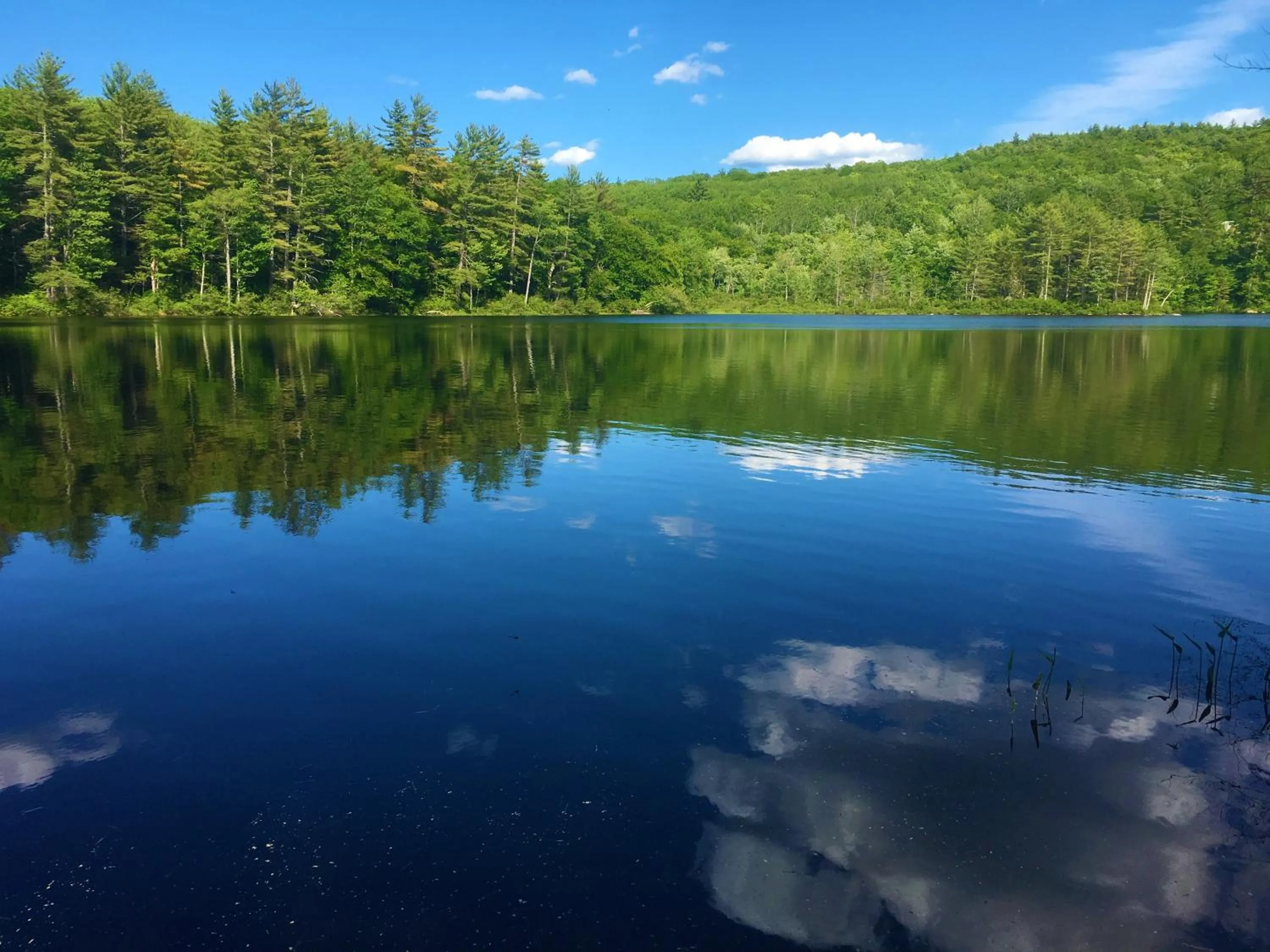 Fishing in Center Lovell Inn
