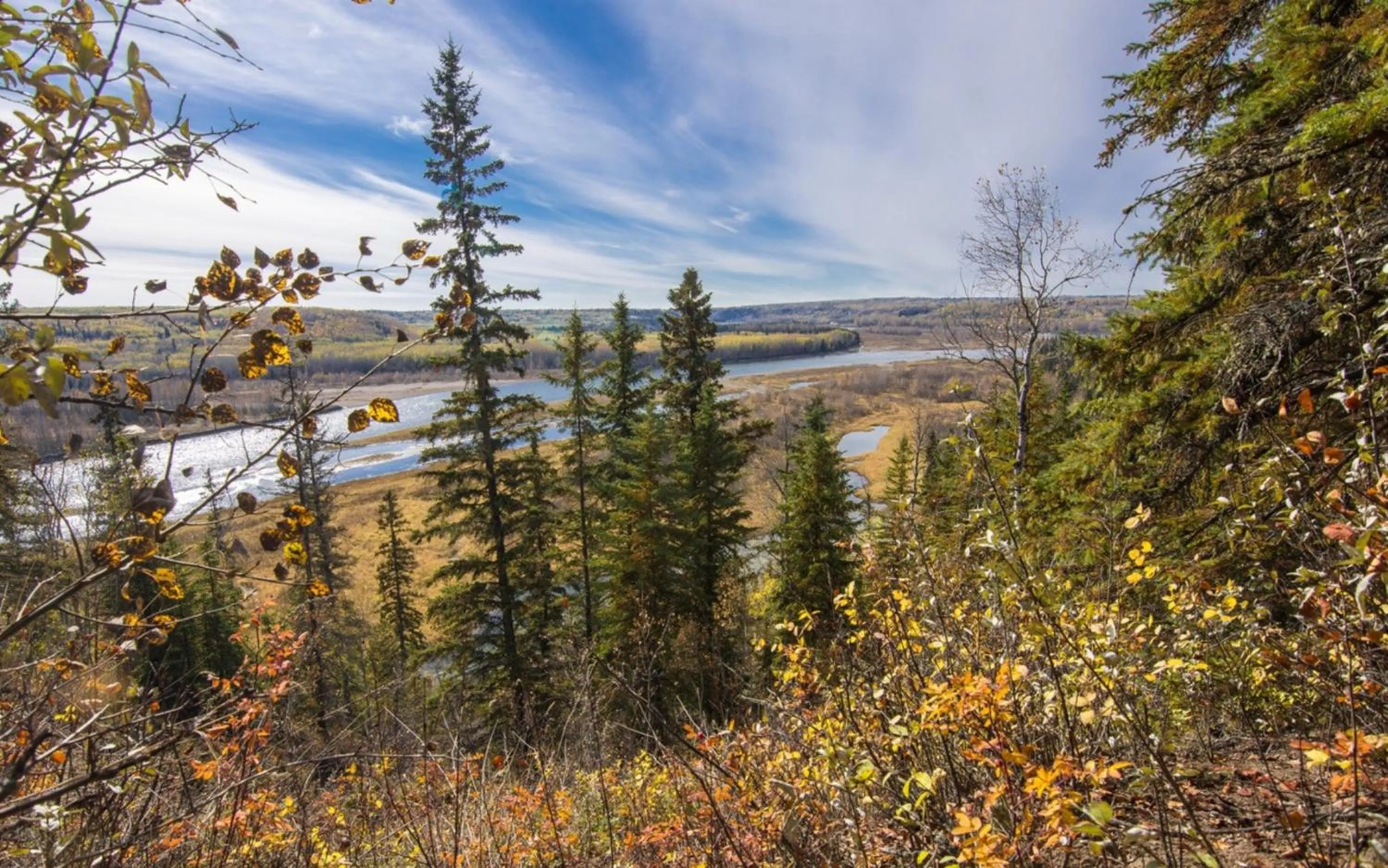 Nearby landmark in Holiday Inn Express & Suites Drayton Valley by IHG