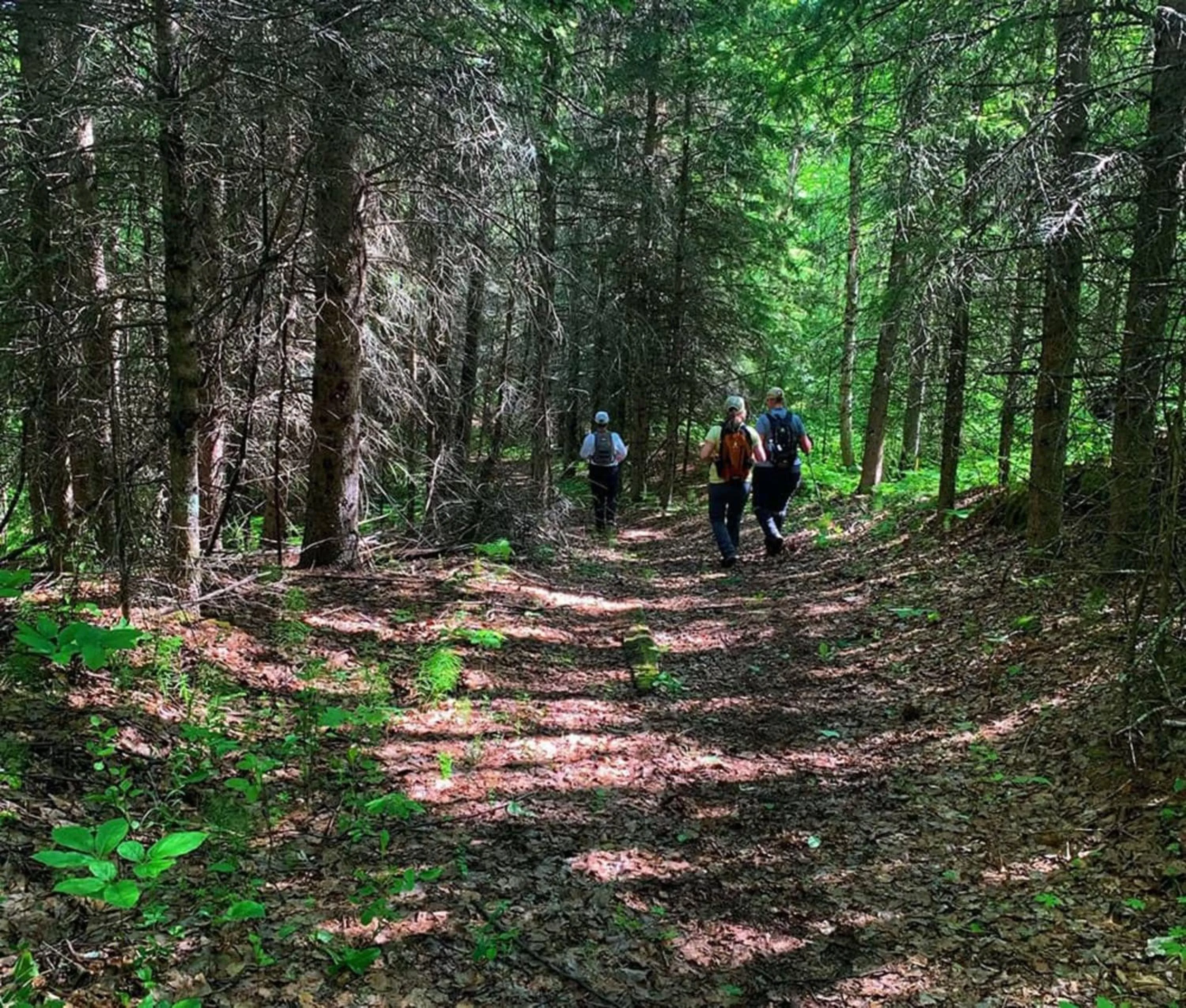 Nearby landmark in Holiday Inn Express & Suites Drayton Valley by IHG