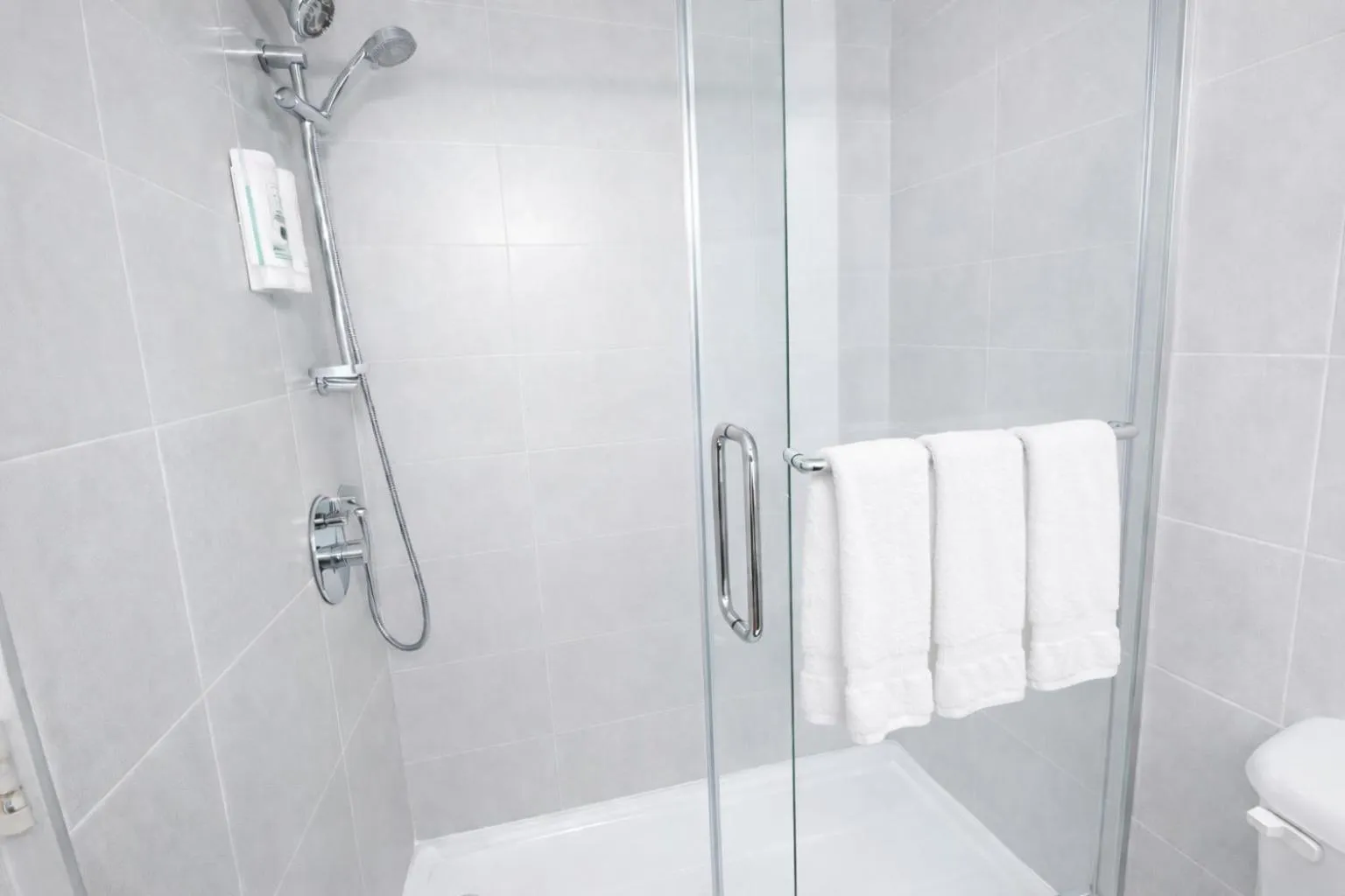 Shower in Quality Inn & Suites