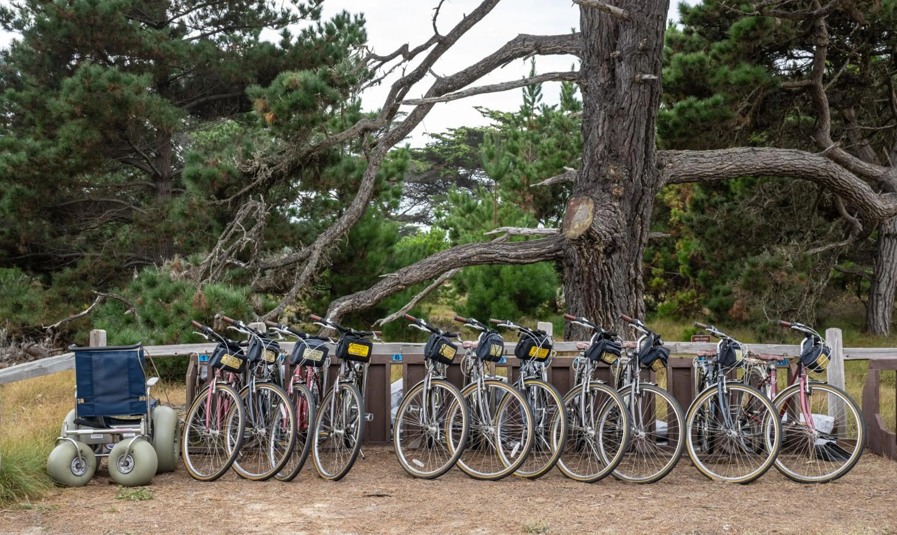 Cycling in Asilomar Conference Grounds