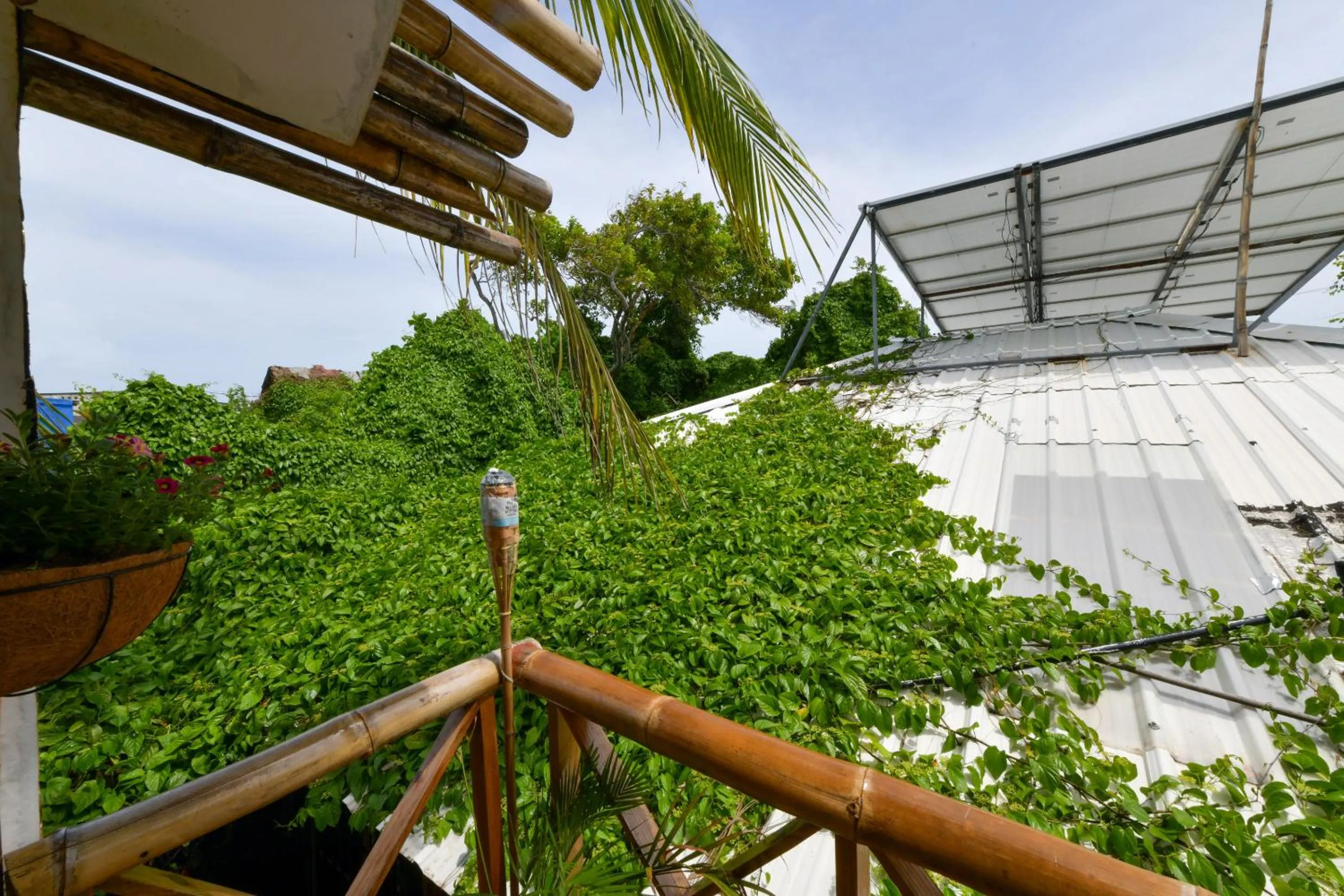 Balcony/Terrace in Posada Amaripucci