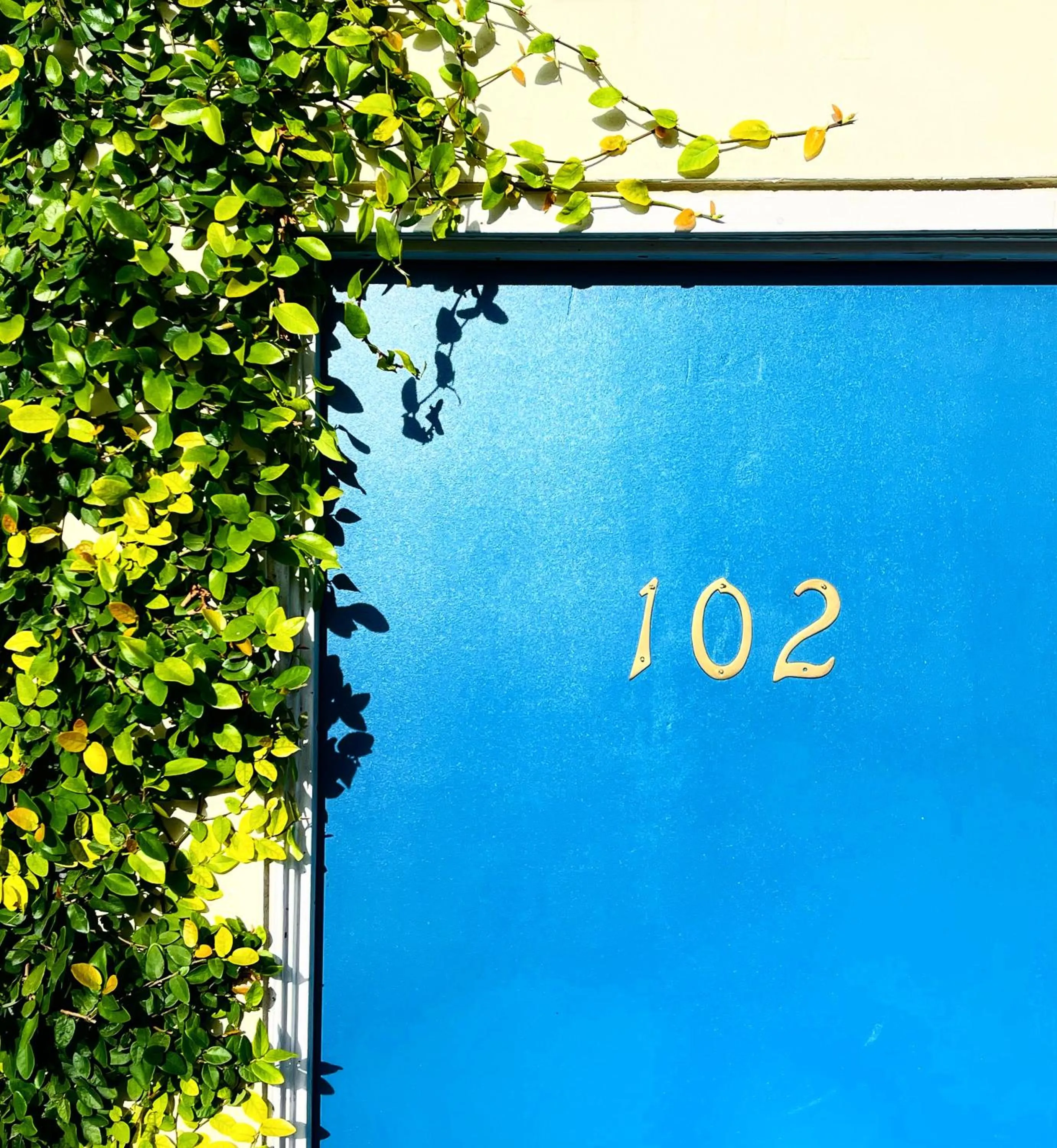 Property building in Villa Serena