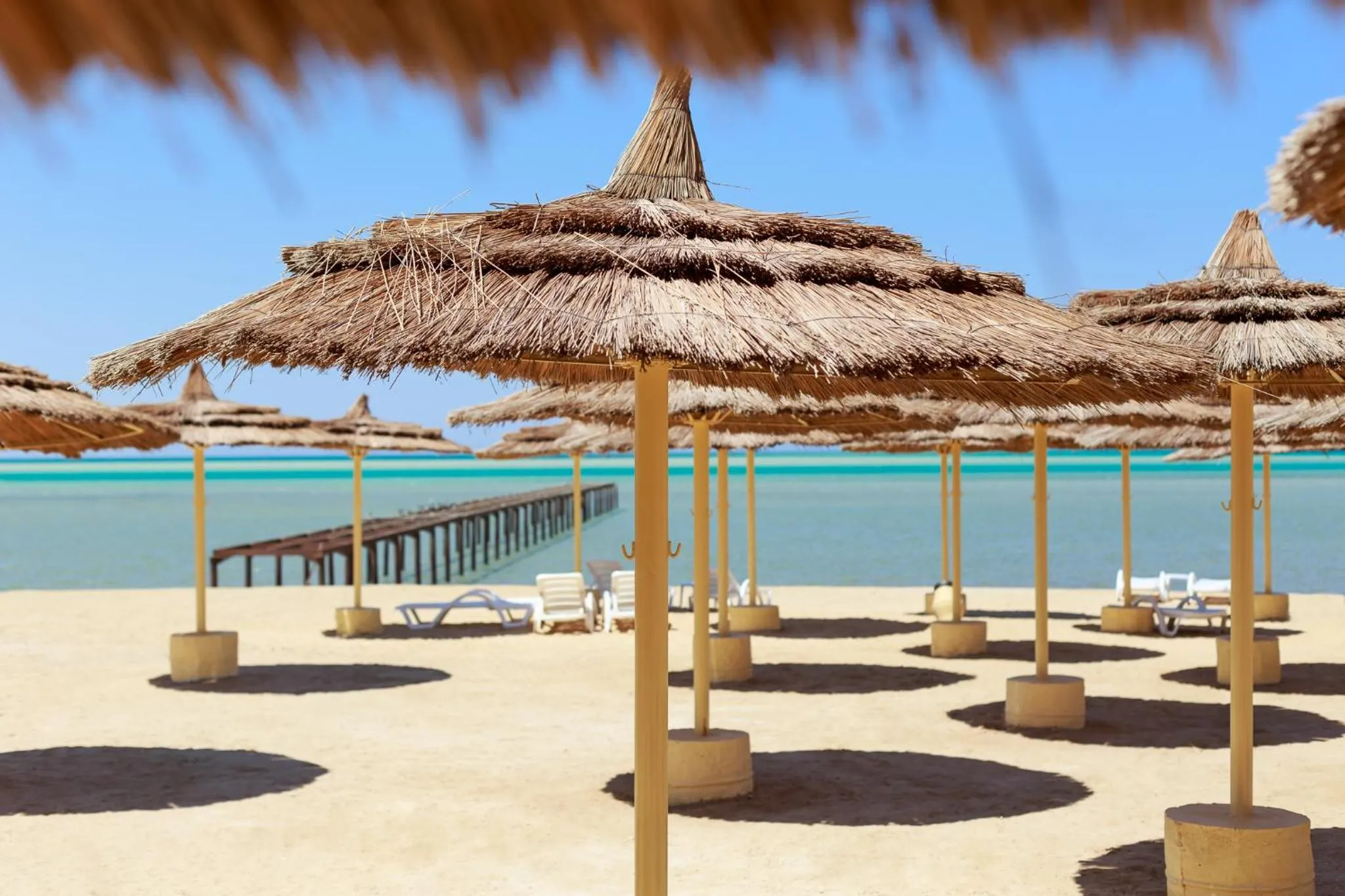 Day in Royal Beach Serviced Apartments