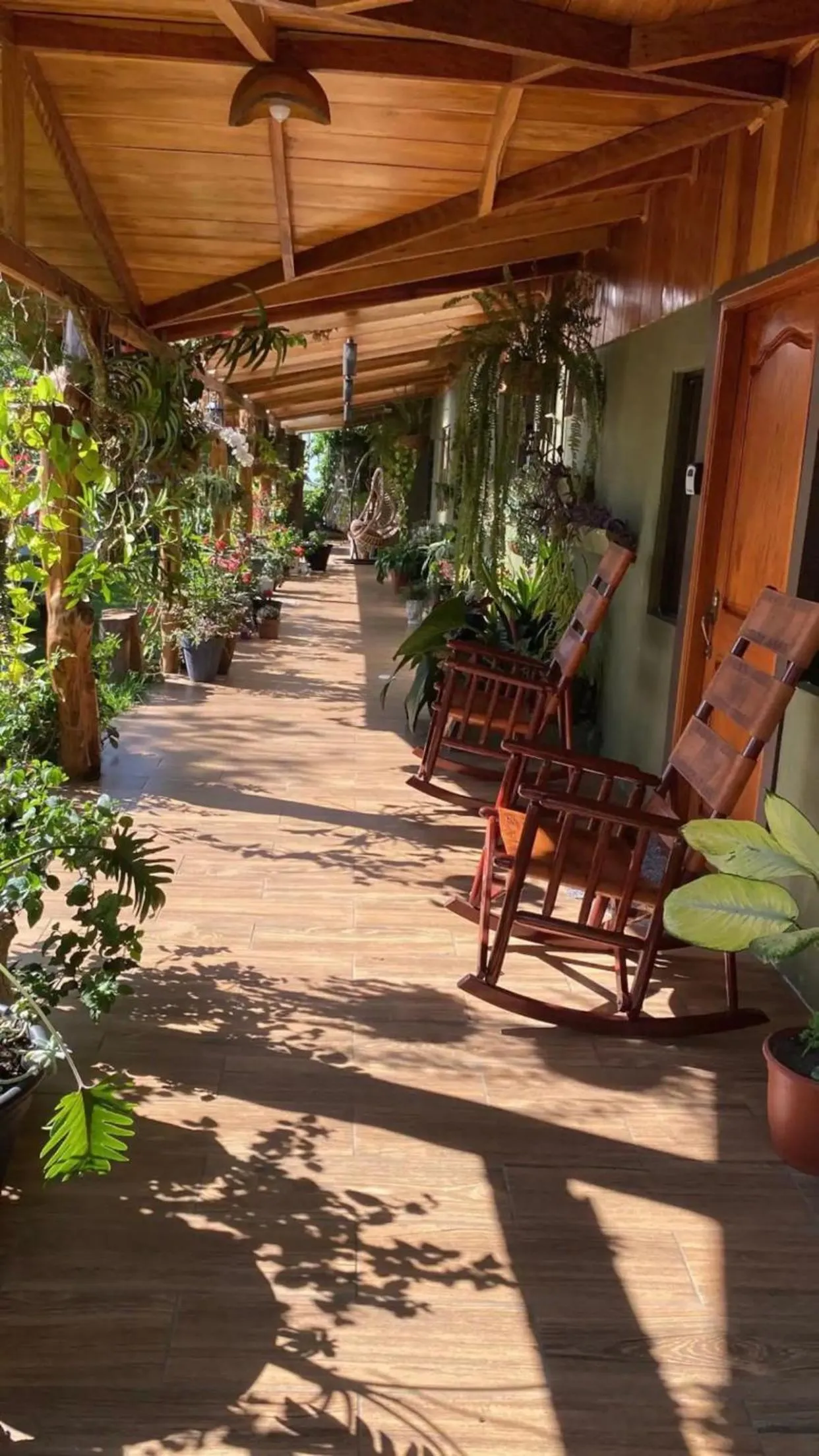 Garden view in Casa Haydee Monteverde
