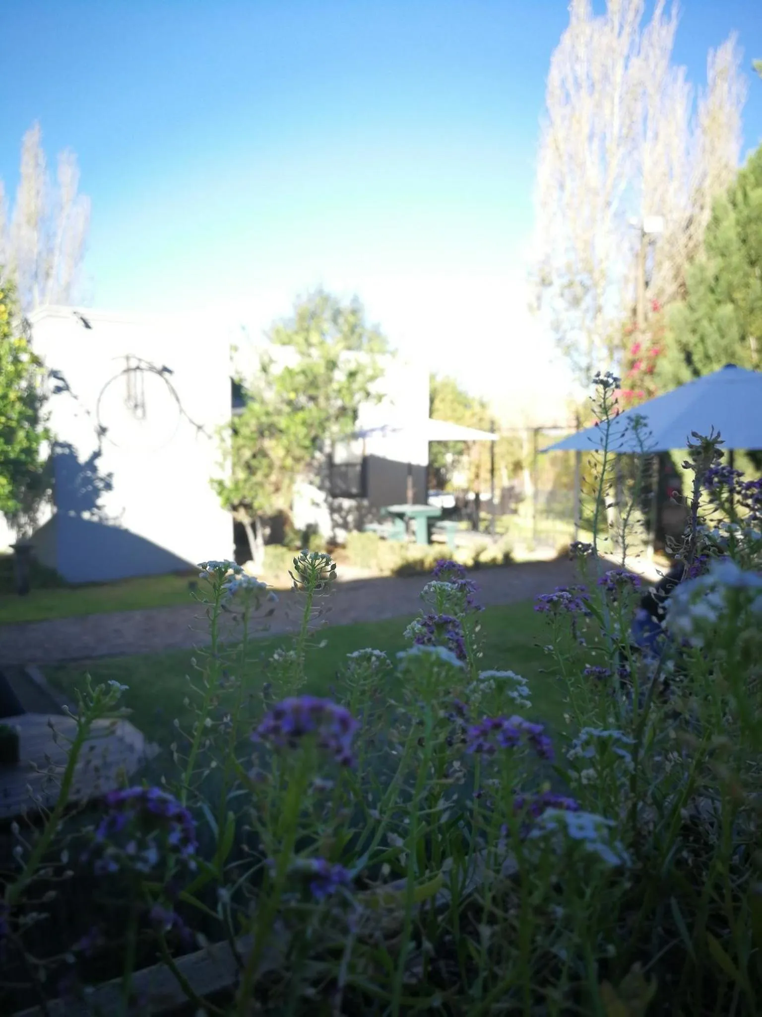 Property building in Old House Lodge