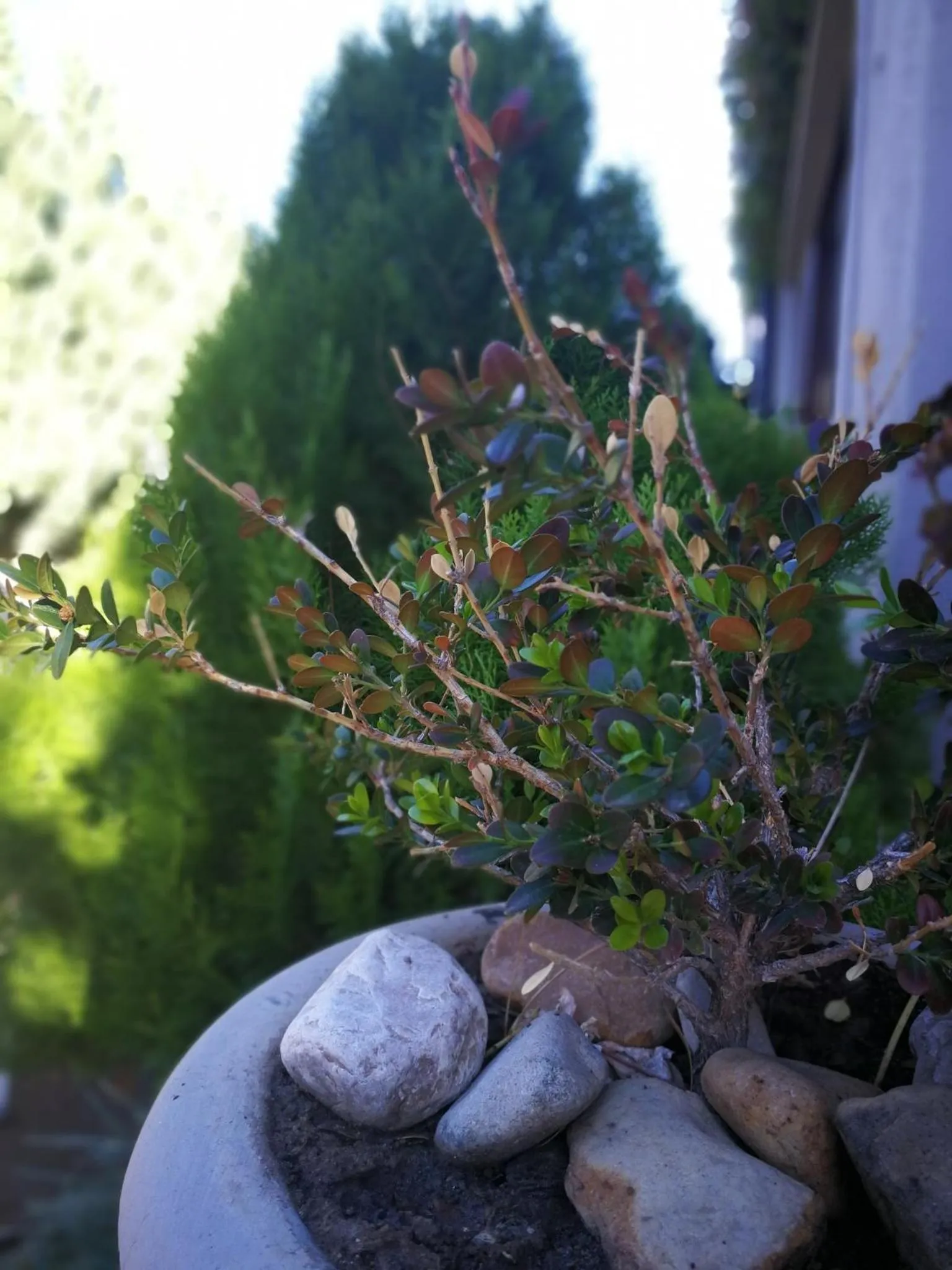 Natural landscape in Old House Lodge