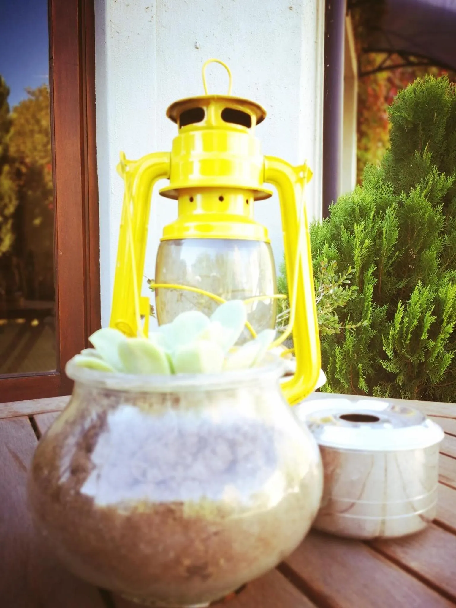 Day in Old House Lodge